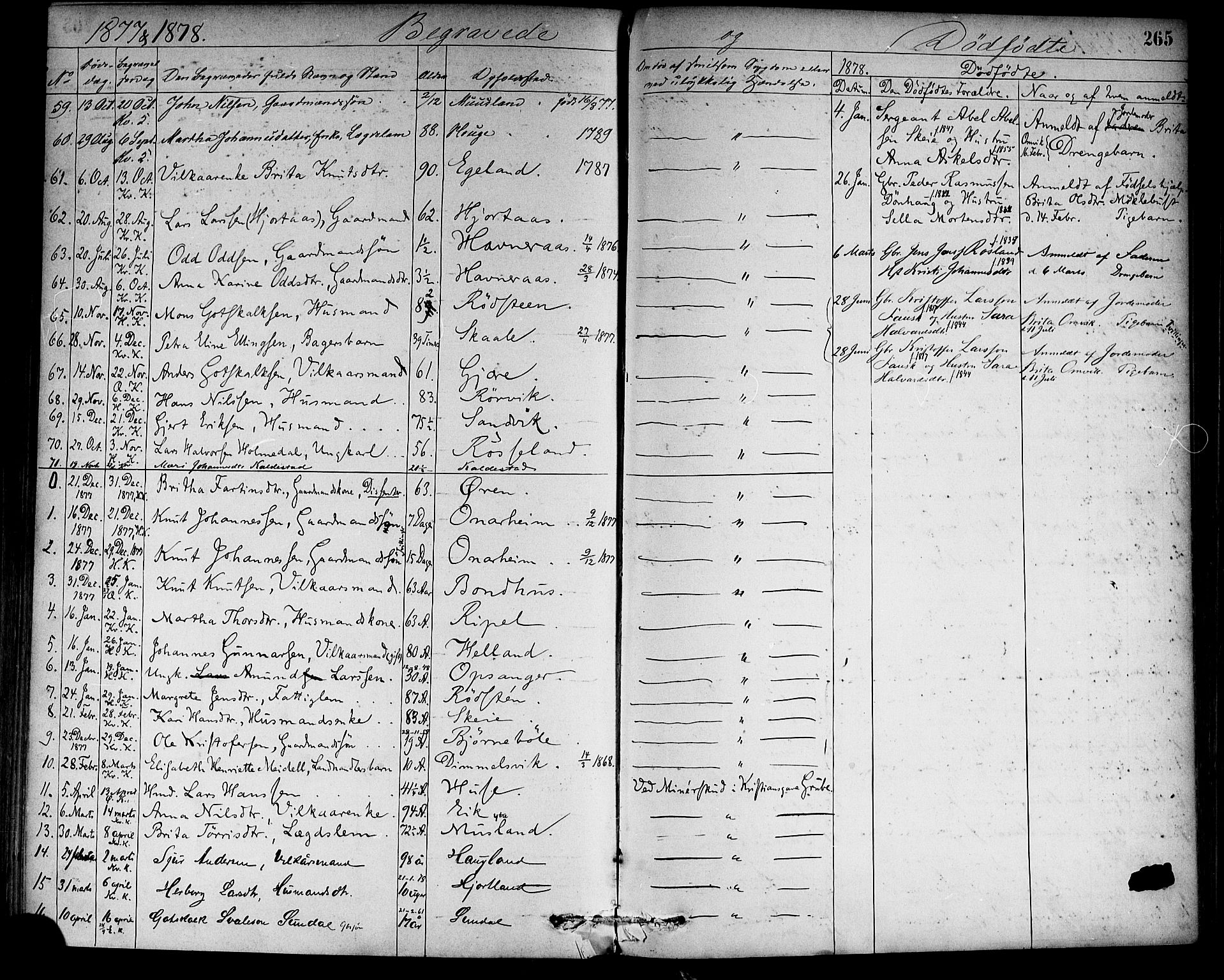 Kvinnherad sokneprestembete, SAB/A-76401/H/Haa: Parish register (official) no. A 9, 1873-1886, p. 265