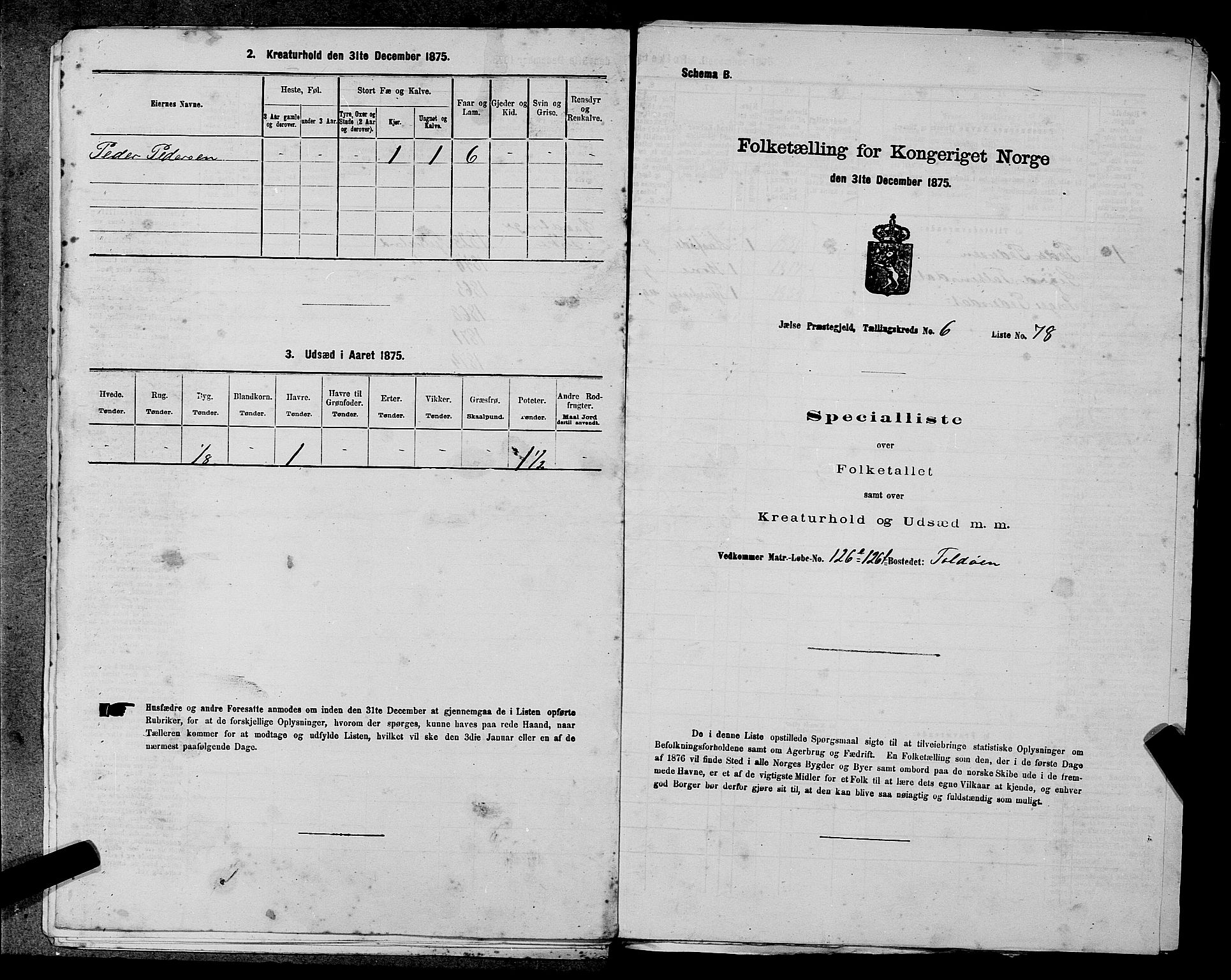 SAST, 1875 census for 1138P Jelsa, 1875, p. 571