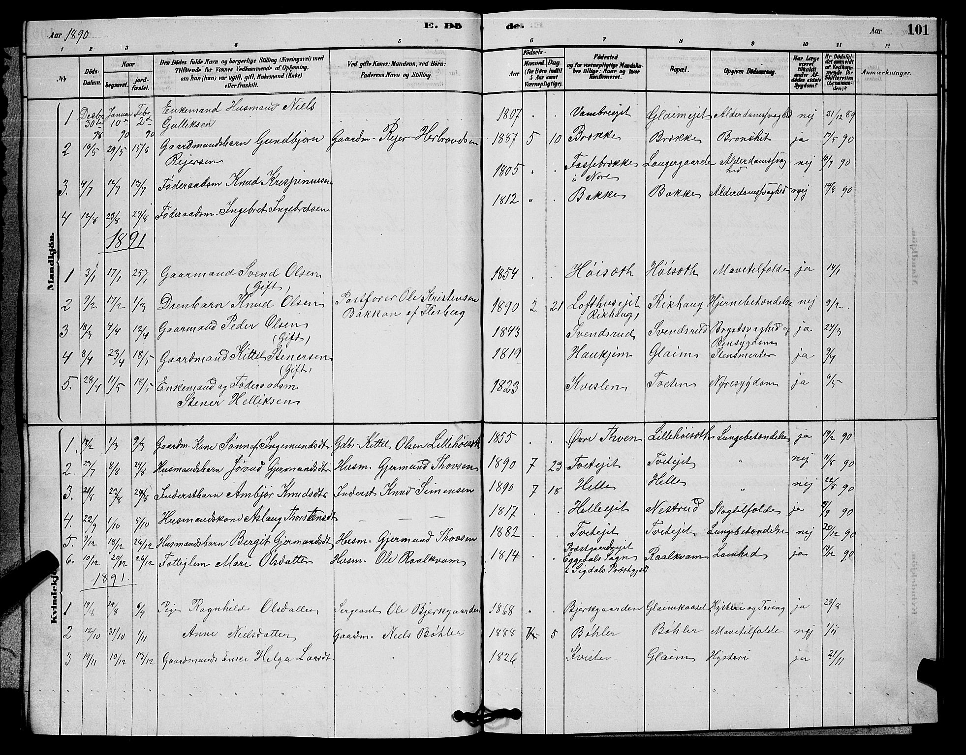 Rollag kirkebøker, SAKO/A-240/G/Gb/L0002: Parish register (copy) no. II 2, 1878-1898, p. 101