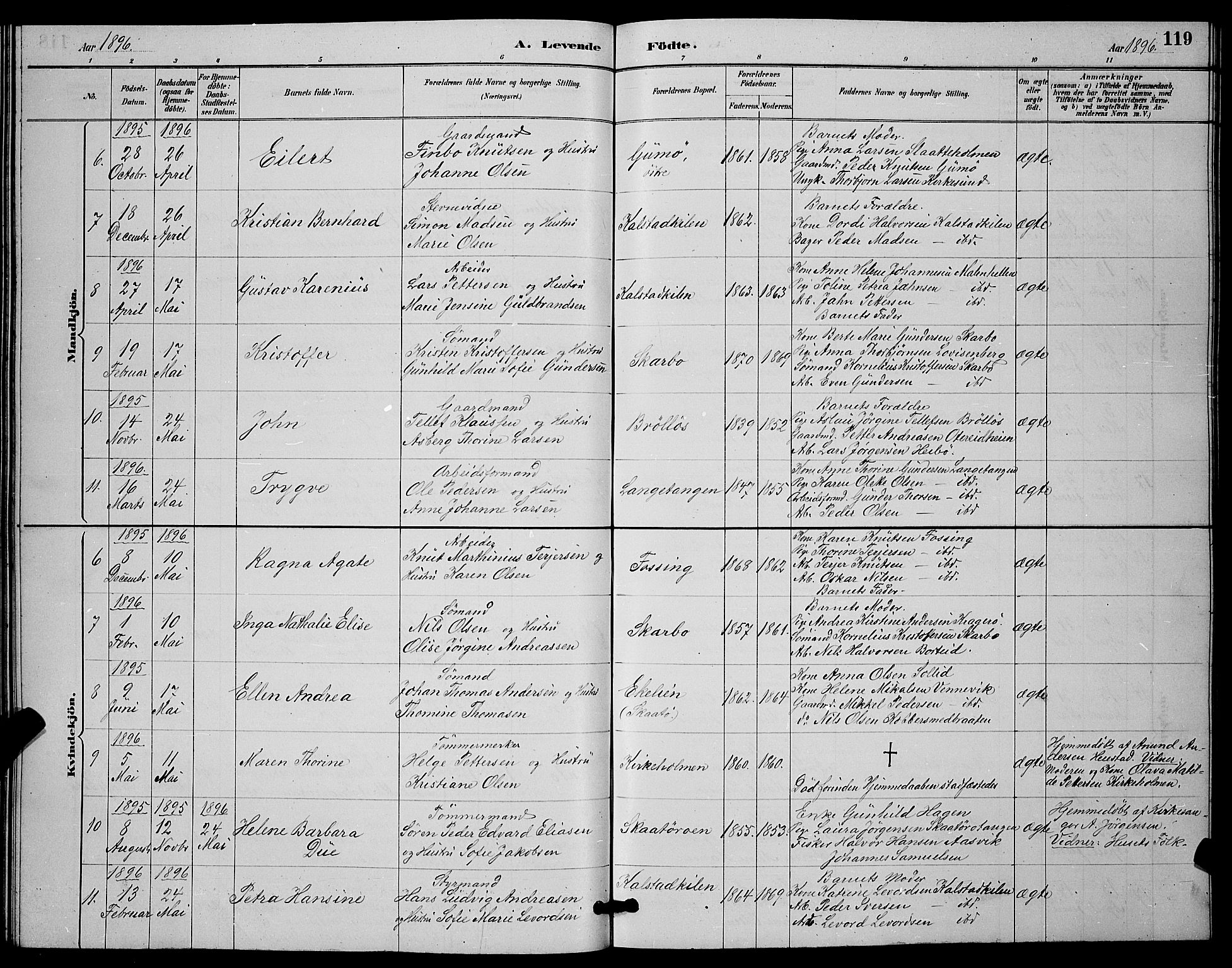 Skåtøy kirkebøker, SAKO/A-304/G/Ga/L0003: Parish register (copy) no. I 3, 1884-1898, p. 119