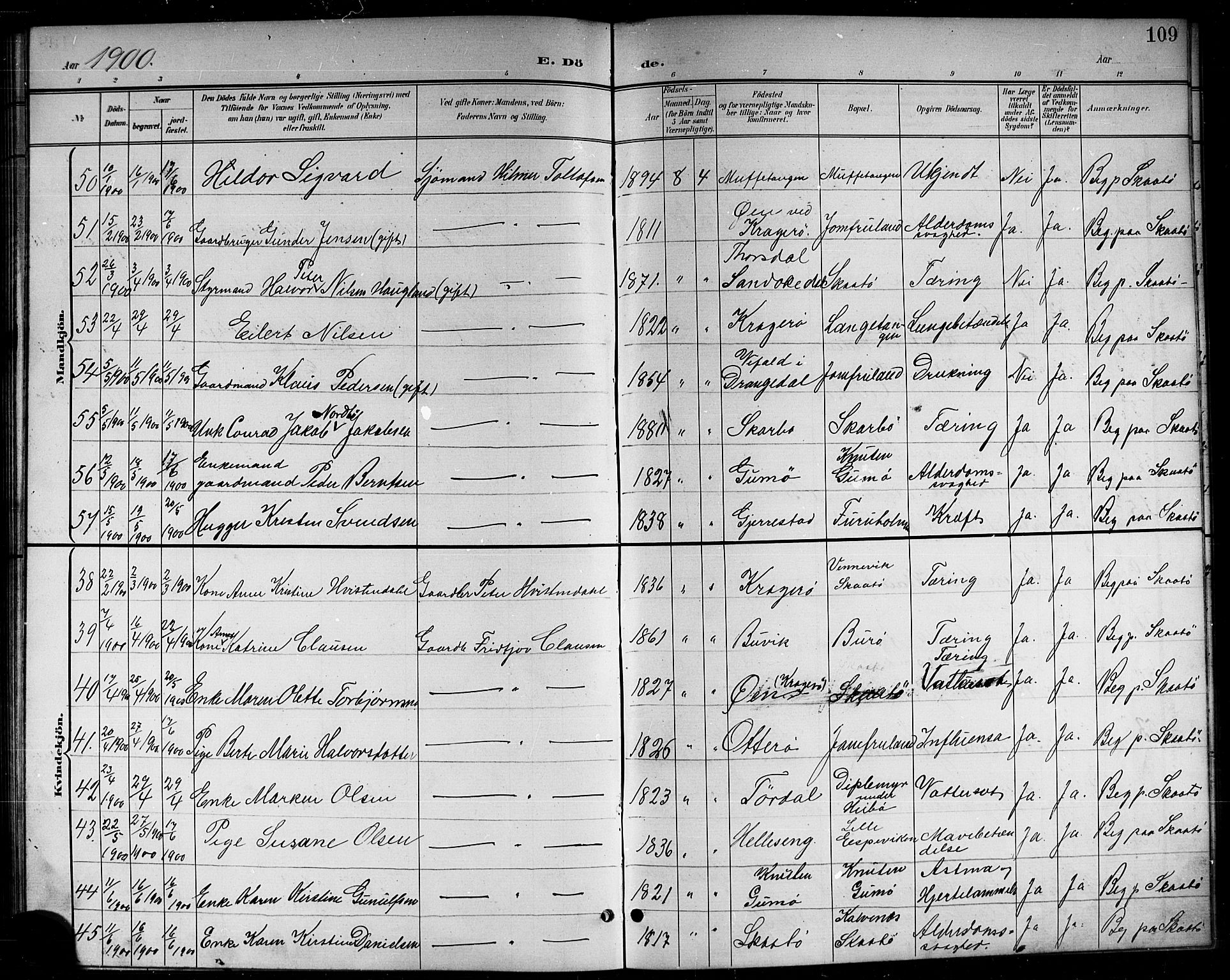 Skåtøy kirkebøker, AV/SAKO-A-304/G/Ga/L0004: Parish register (copy) no. I 4, 1898-1916, p. 109