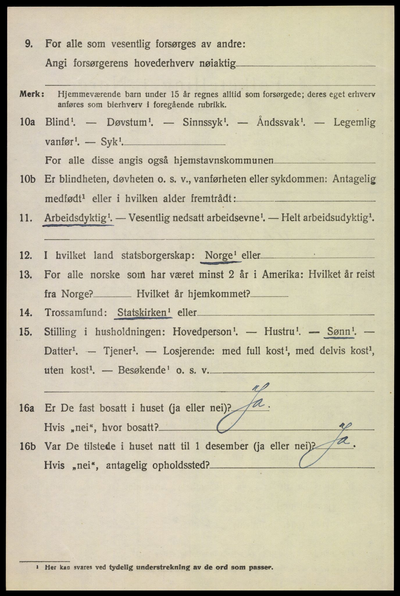 SAH, 1920 census for Tynset, 1920, p. 1613