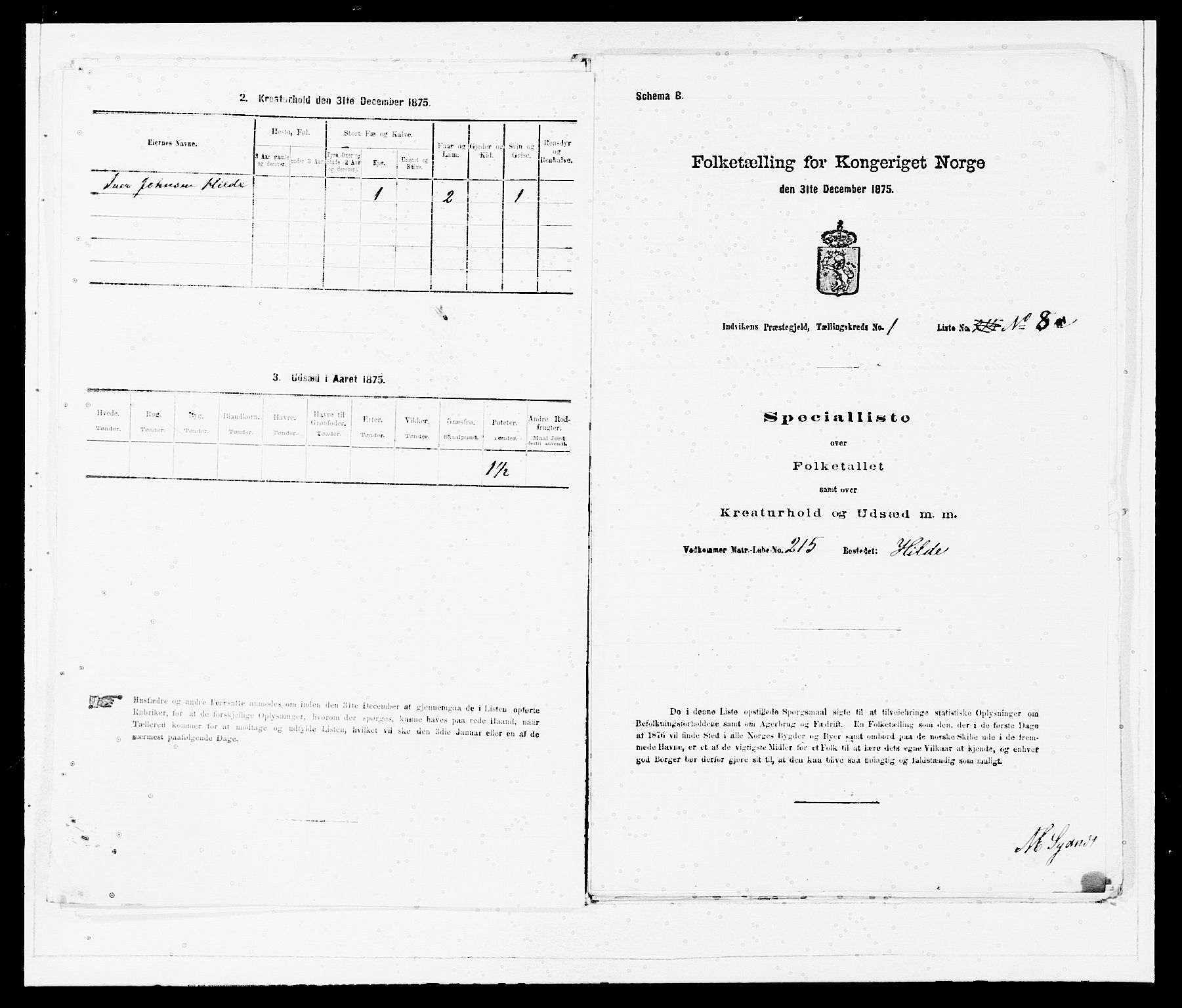 SAB, 1875 Census for 1447P Innvik, 1875, p. 37