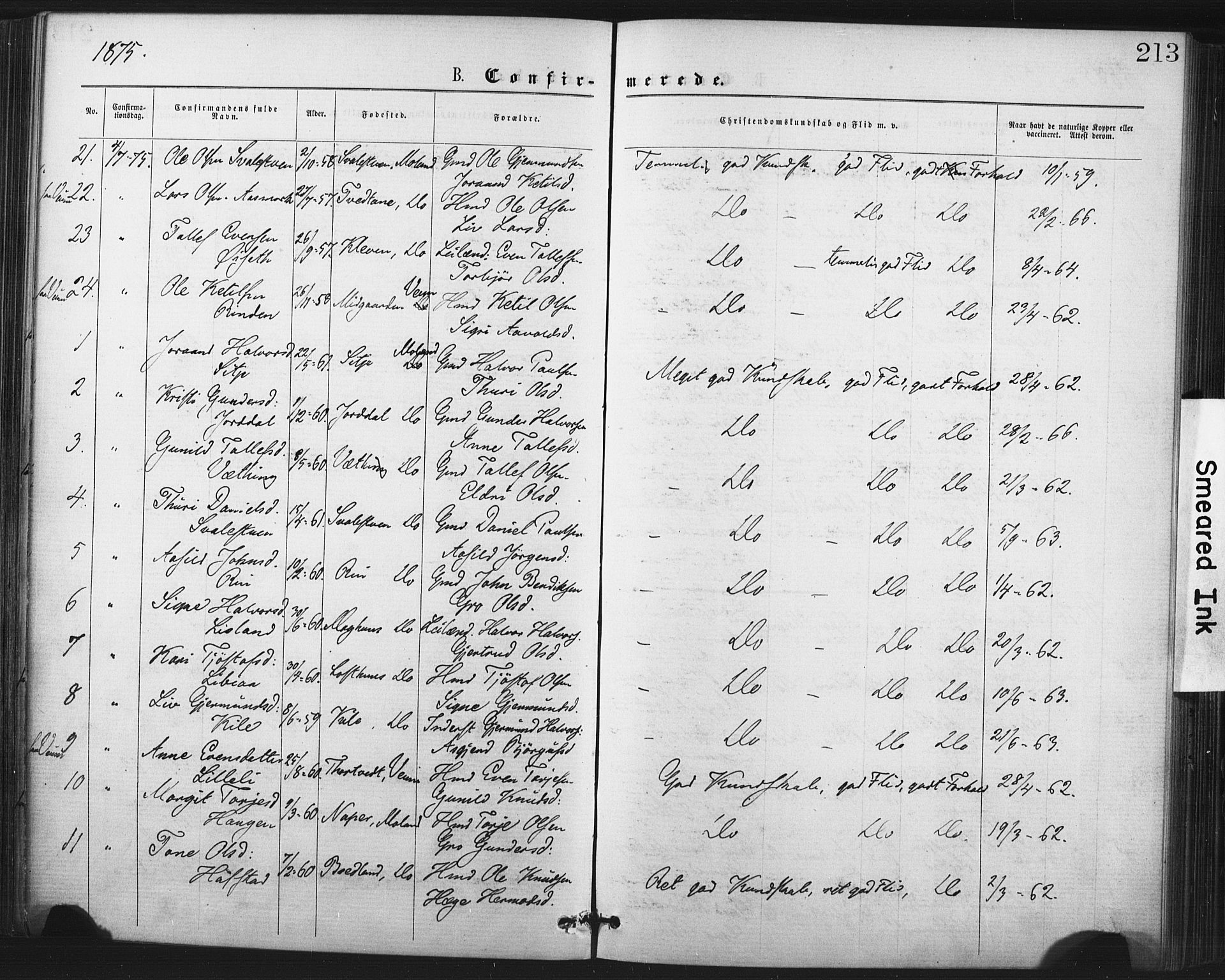 Fyresdal kirkebøker, AV/SAKO-A-263/F/Fa/L0006: Parish register (official) no. I 6, 1872-1886, p. 213