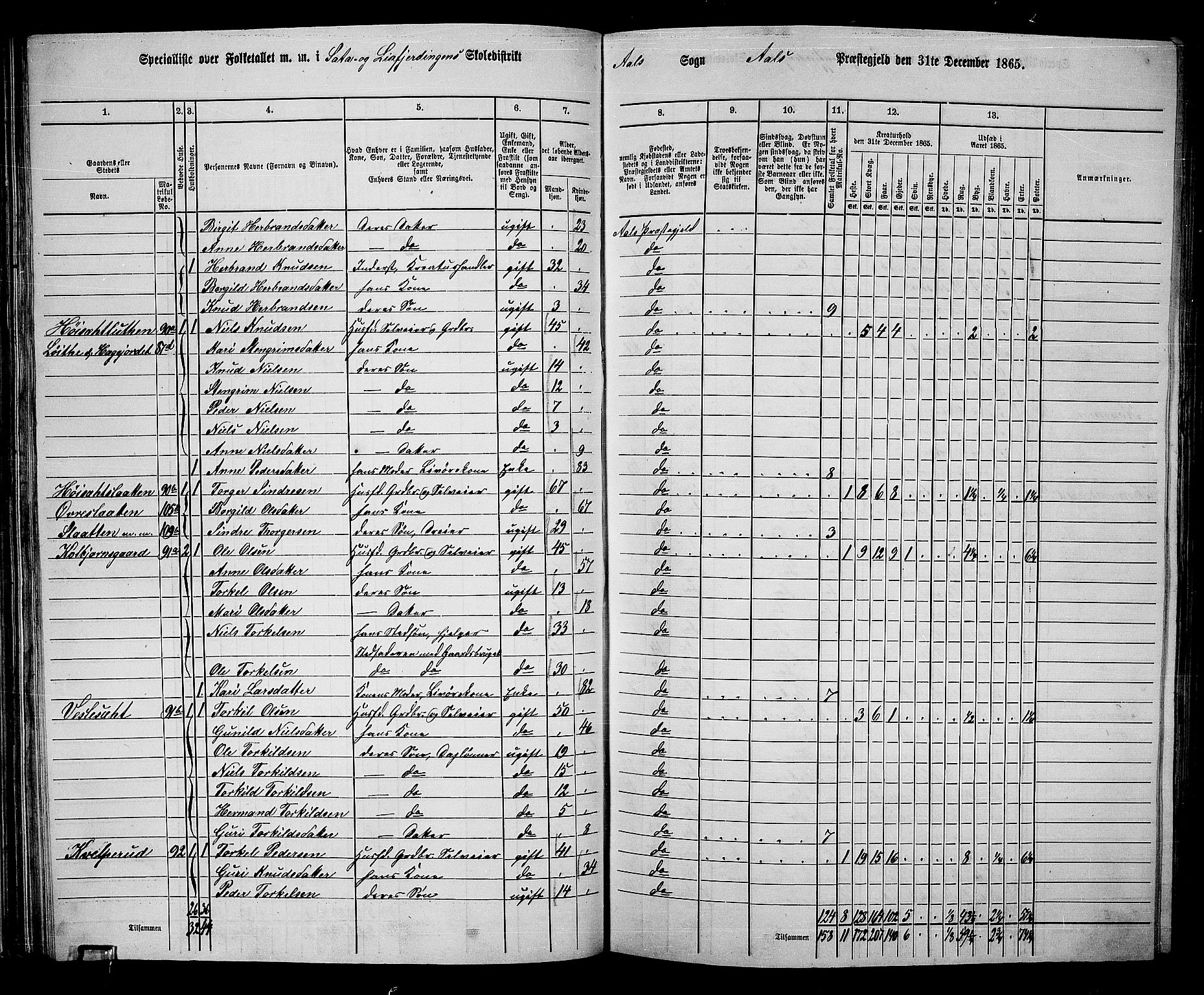 RA, 1865 census for Ål, 1865, p. 60