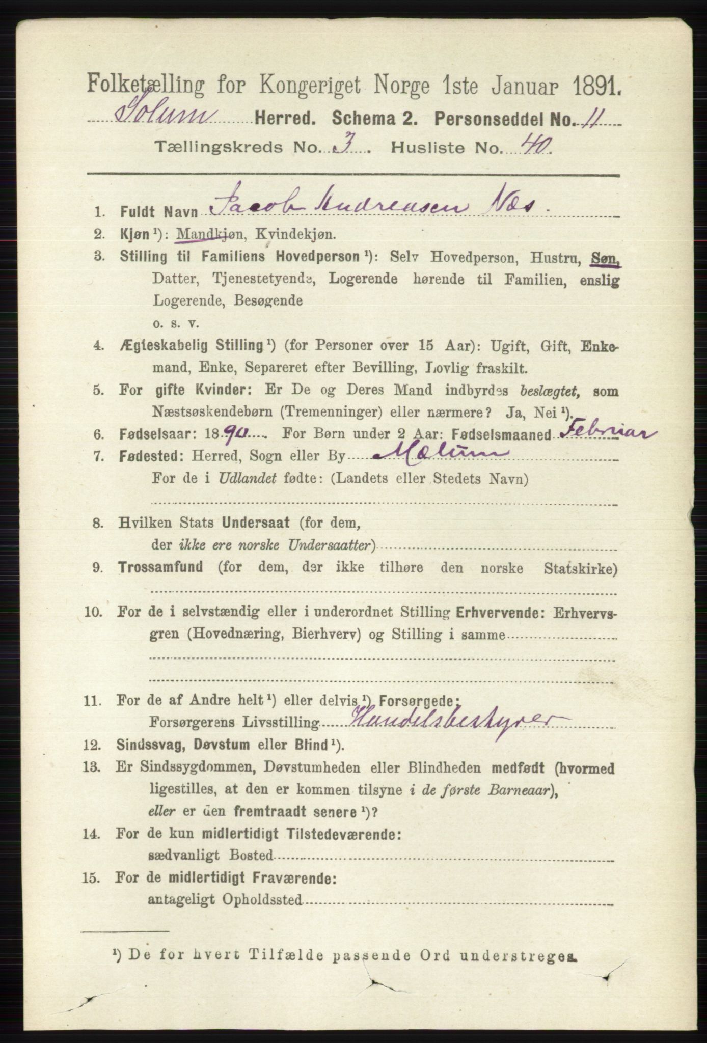 RA, 1891 census for 0818 Solum, 1891, p. 574