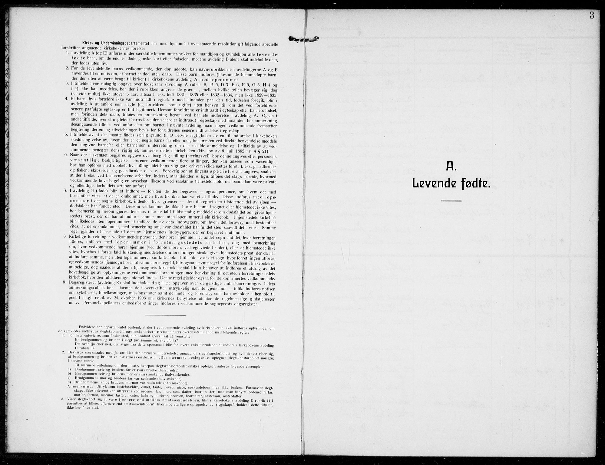 Bamble kirkebøker, SAKO/A-253/F/Fc/L0001: Parish register (official) no. III 1, 1909-1916, p. 3