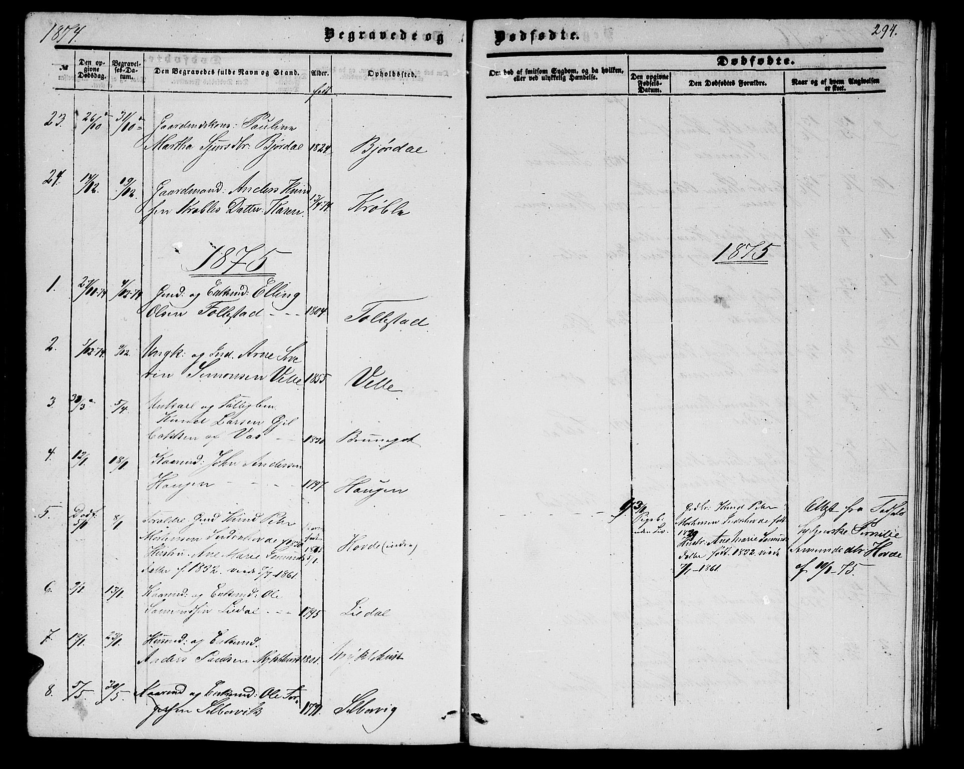 Ministerialprotokoller, klokkerbøker og fødselsregistre - Møre og Romsdal, AV/SAT-A-1454/513/L0188: Parish register (copy) no. 513C02, 1865-1882, p. 294