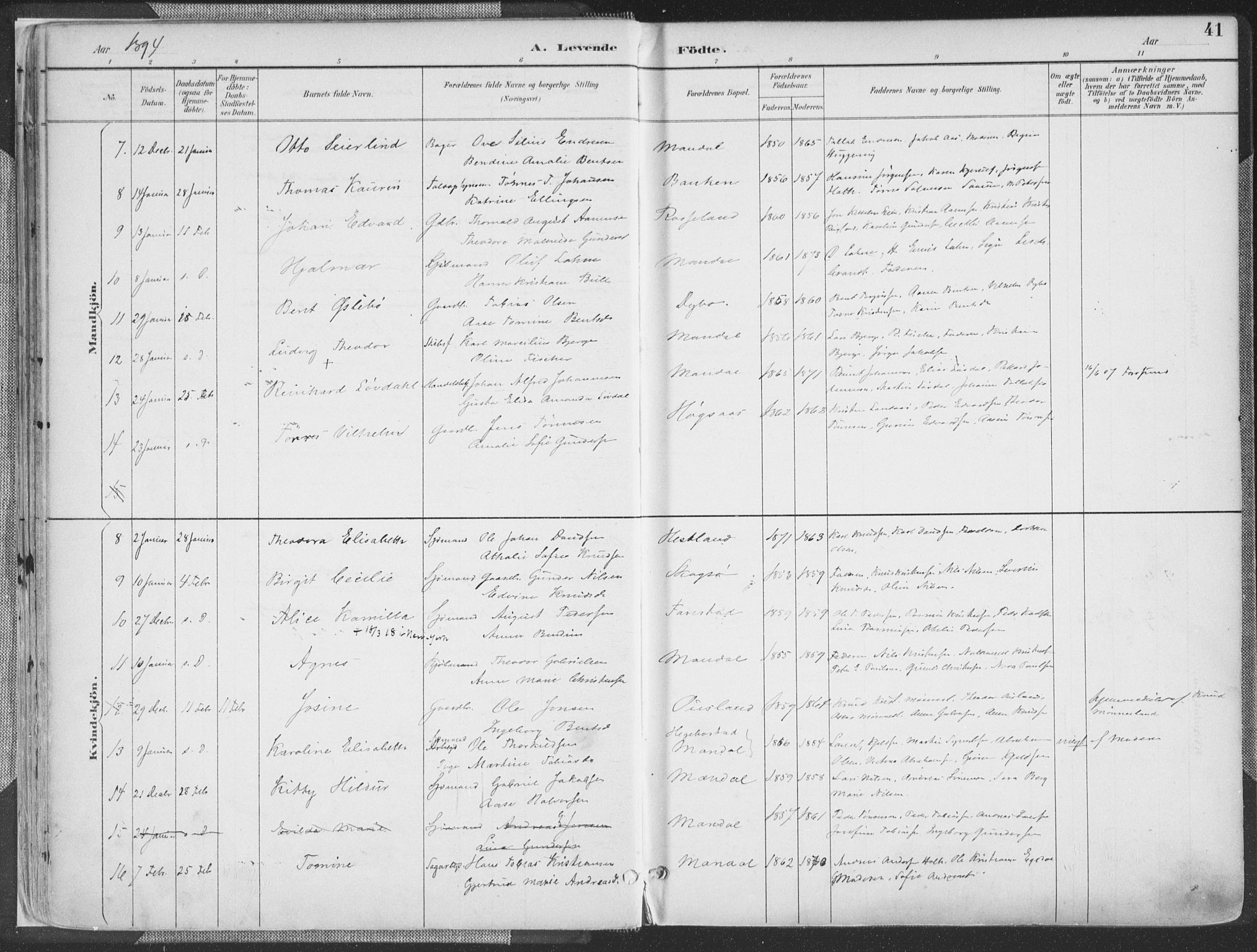 Mandal sokneprestkontor, SAK/1111-0030/F/Fa/Faa/L0018: Parish register (official) no. A 18, 1890-1905, p. 41