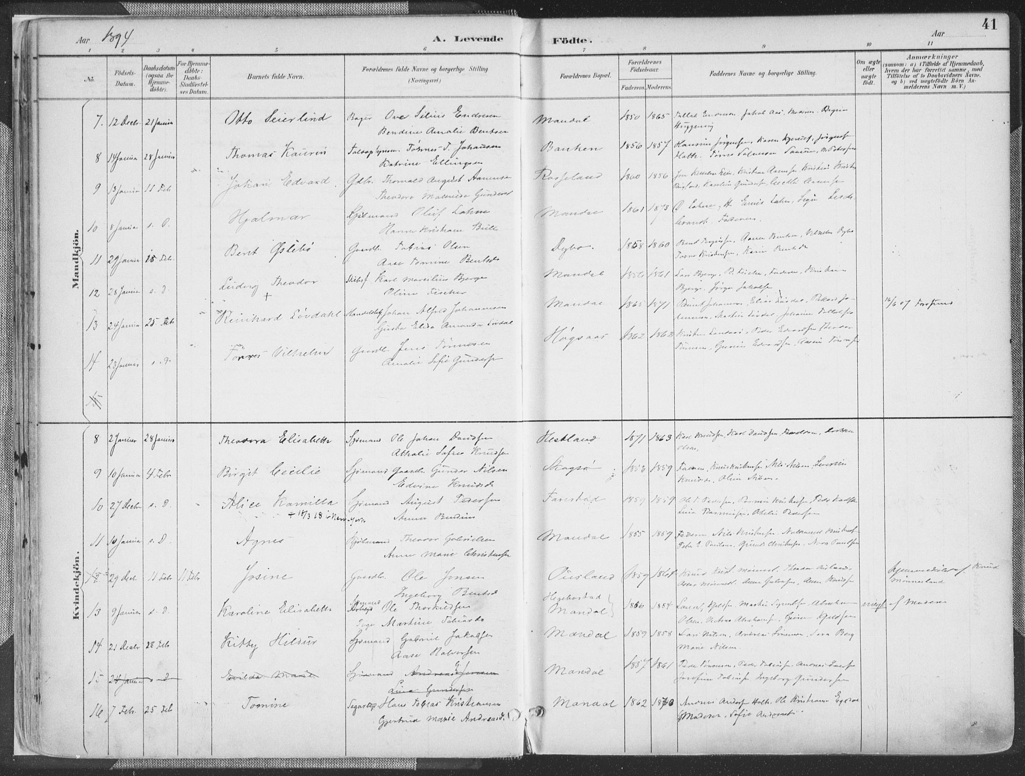 Mandal sokneprestkontor, AV/SAK-1111-0030/F/Fa/Faa/L0018: Parish register (official) no. A 18, 1890-1905, p. 41