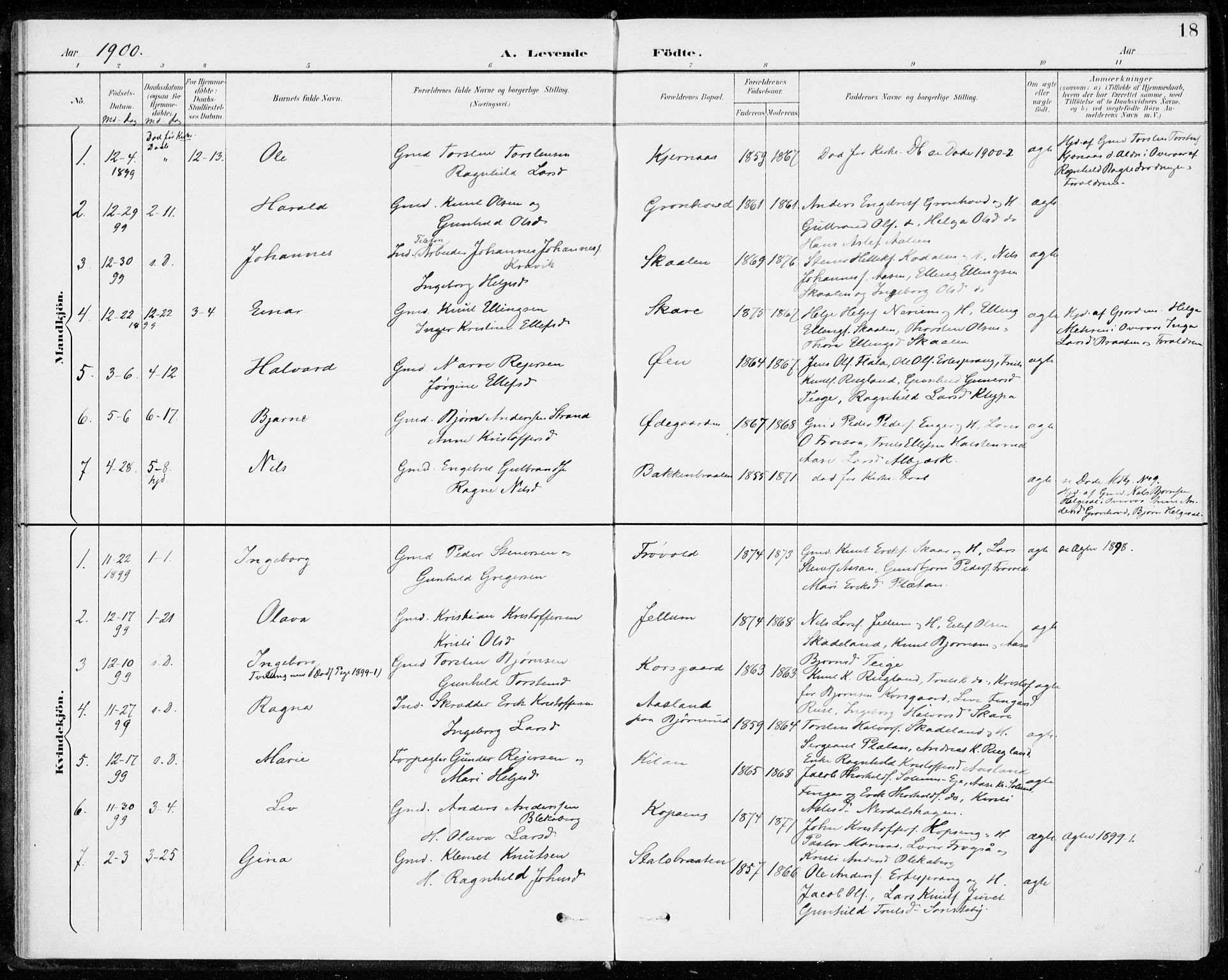 Sigdal kirkebøker, SAKO/A-245/F/Fc/L0002: Parish register (official) no. III 2, 1894-1911, p. 18