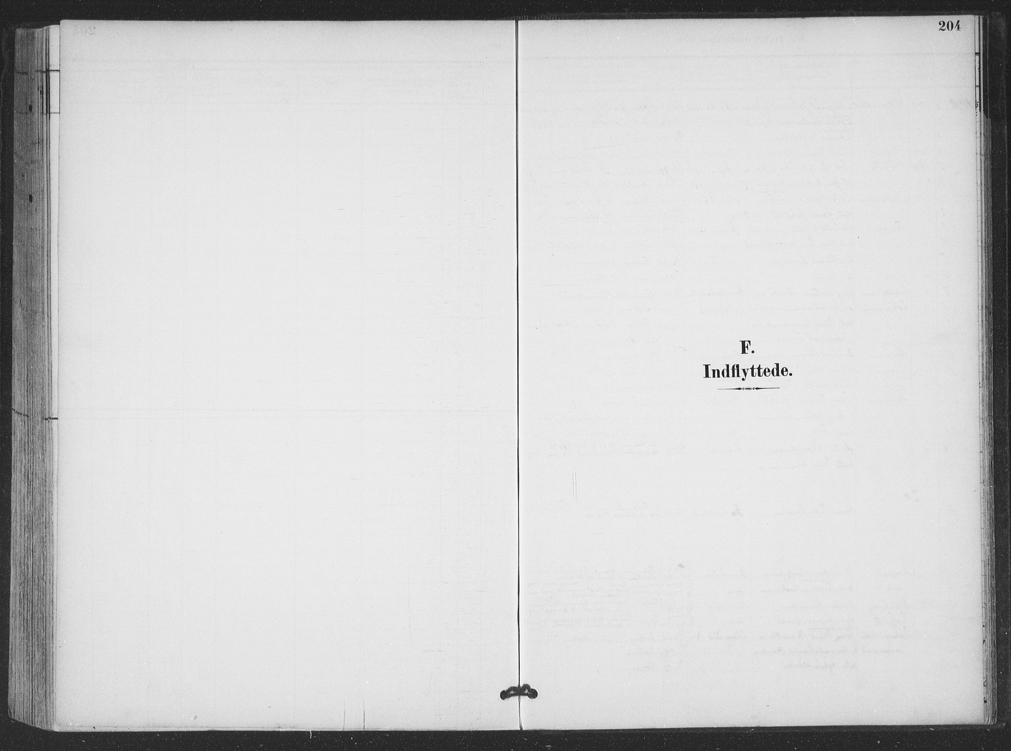 Ministerialprotokoller, klokkerbøker og fødselsregistre - Nordland, SAT/A-1459/866/L0939: Parish register (official) no. 866A02, 1894-1906, p. 204