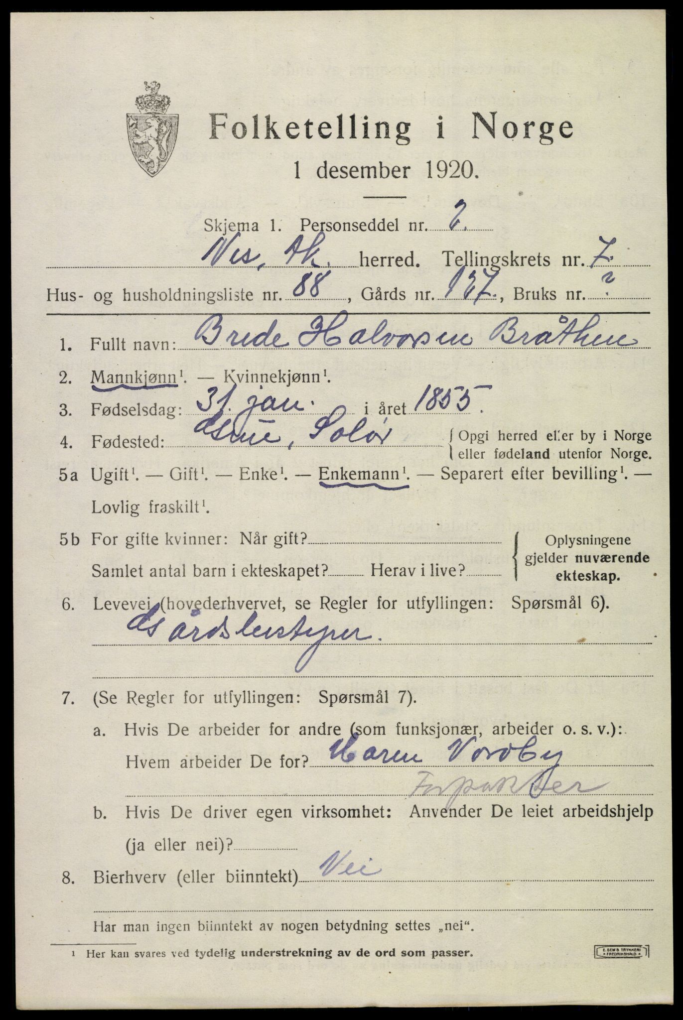 SAO, 1920 census for Nes, 1920, p. 9338