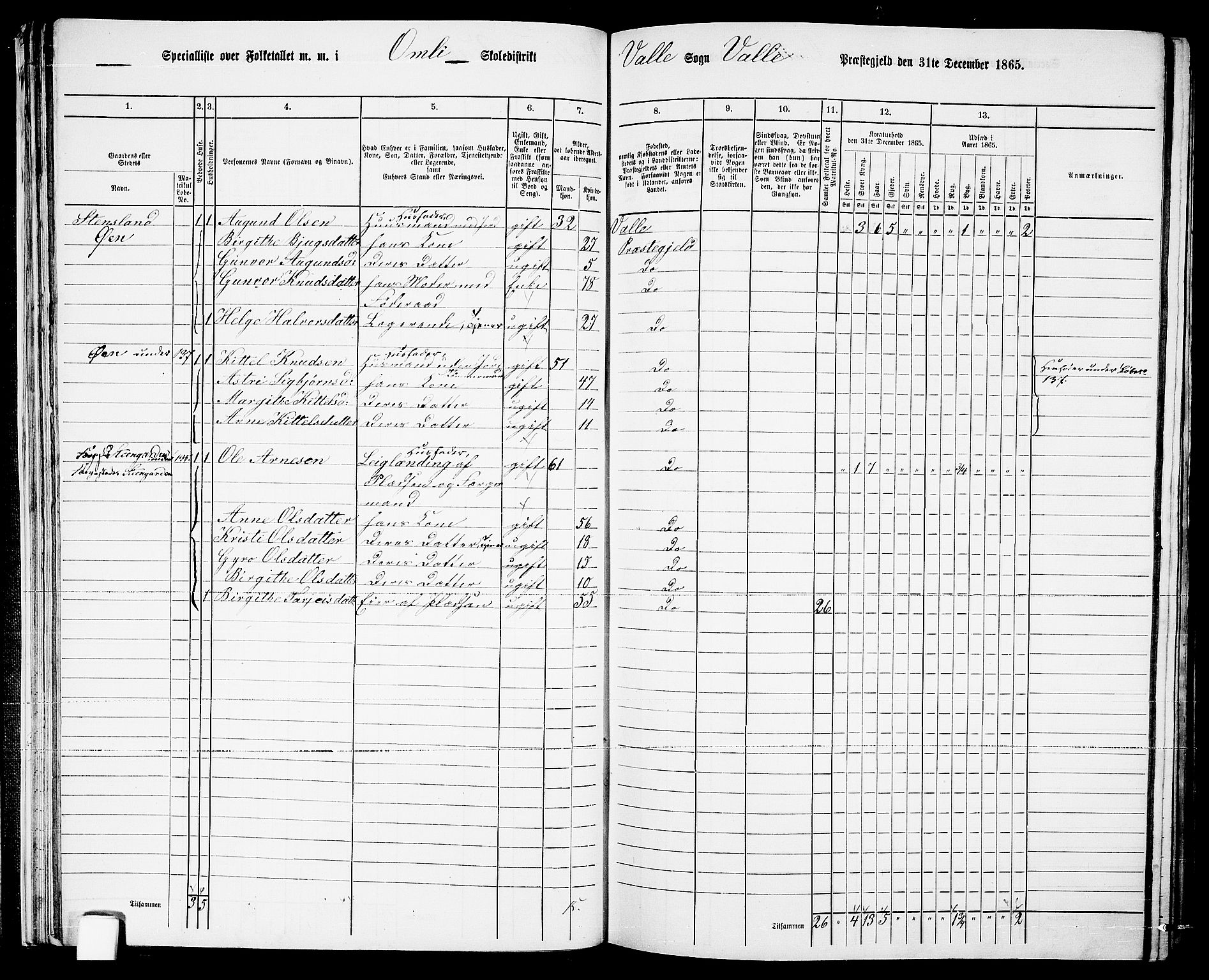 RA, 1865 census for Valle, 1865, p. 31