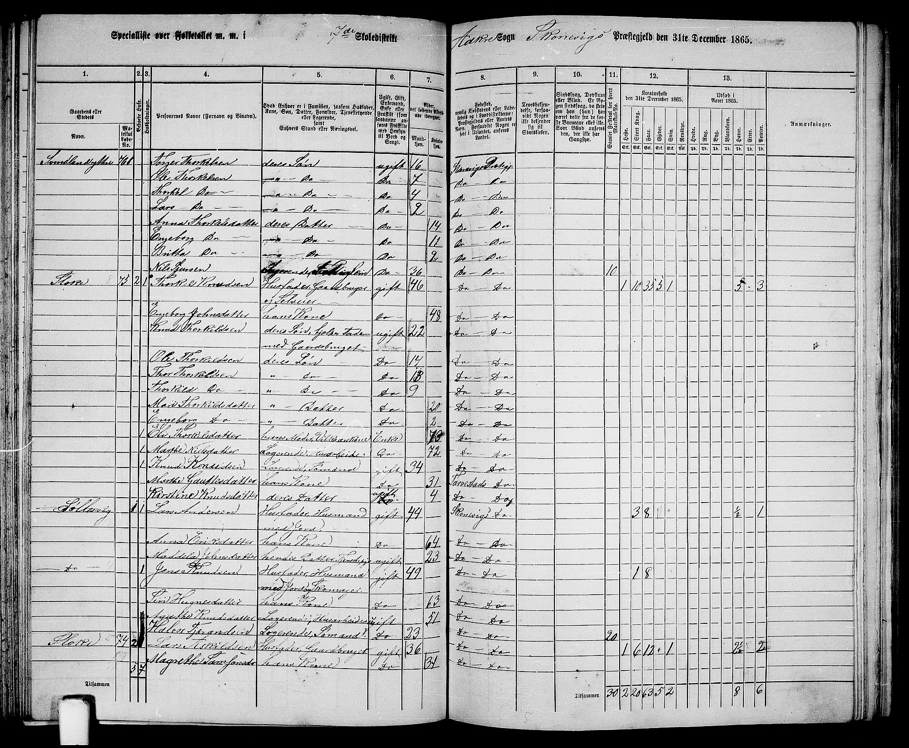 RA, 1865 census for Skånevik, 1865, p. 111