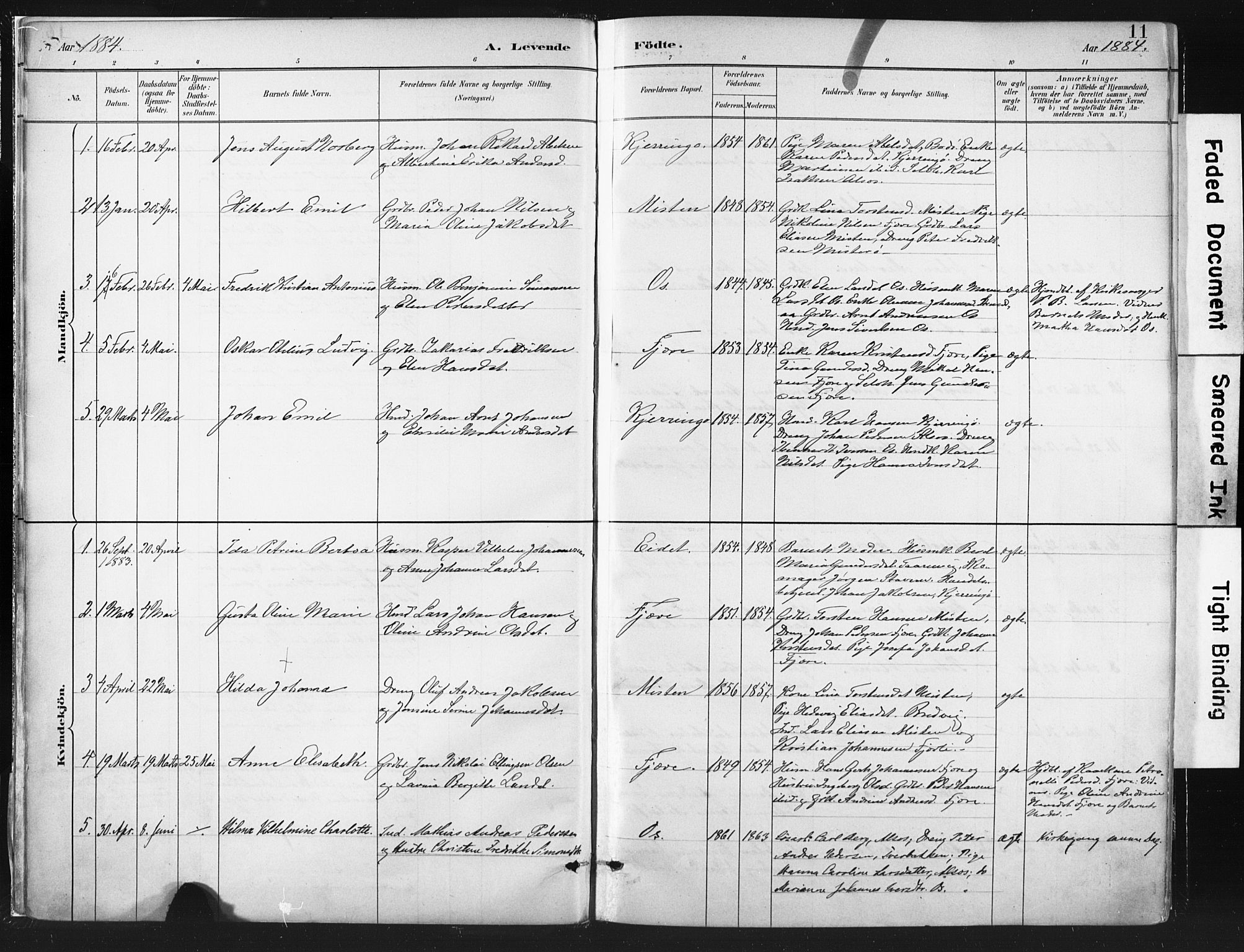 Ministerialprotokoller, klokkerbøker og fødselsregistre - Nordland, SAT/A-1459/803/L0071: Parish register (official) no. 803A01, 1881-1897, p. 11