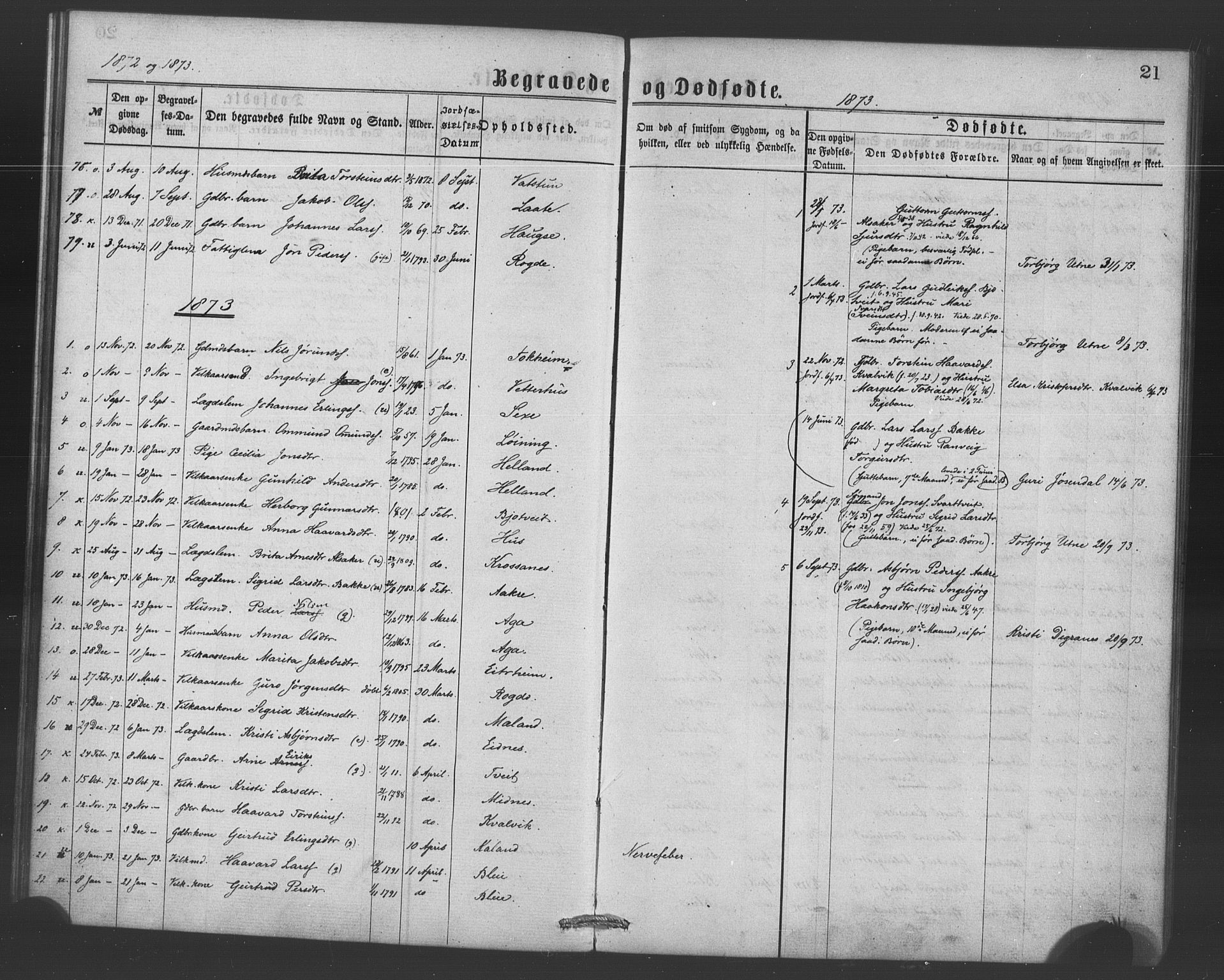 Ullensvang sokneprestembete, SAB/A-78701/H/Haa: Parish register (official) no. A 15, 1867-1882, p. 21