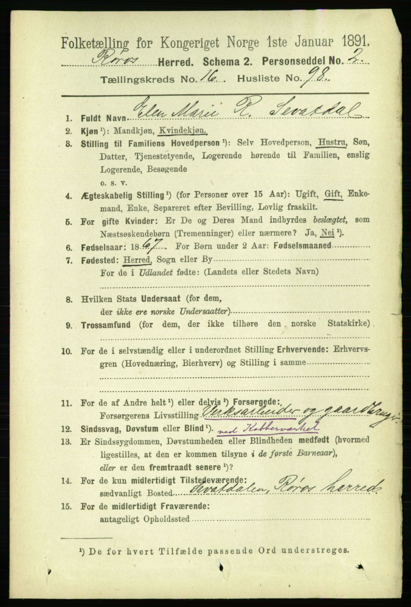 RA, 1891 census for 1640 Røros, 1891, p. 4246