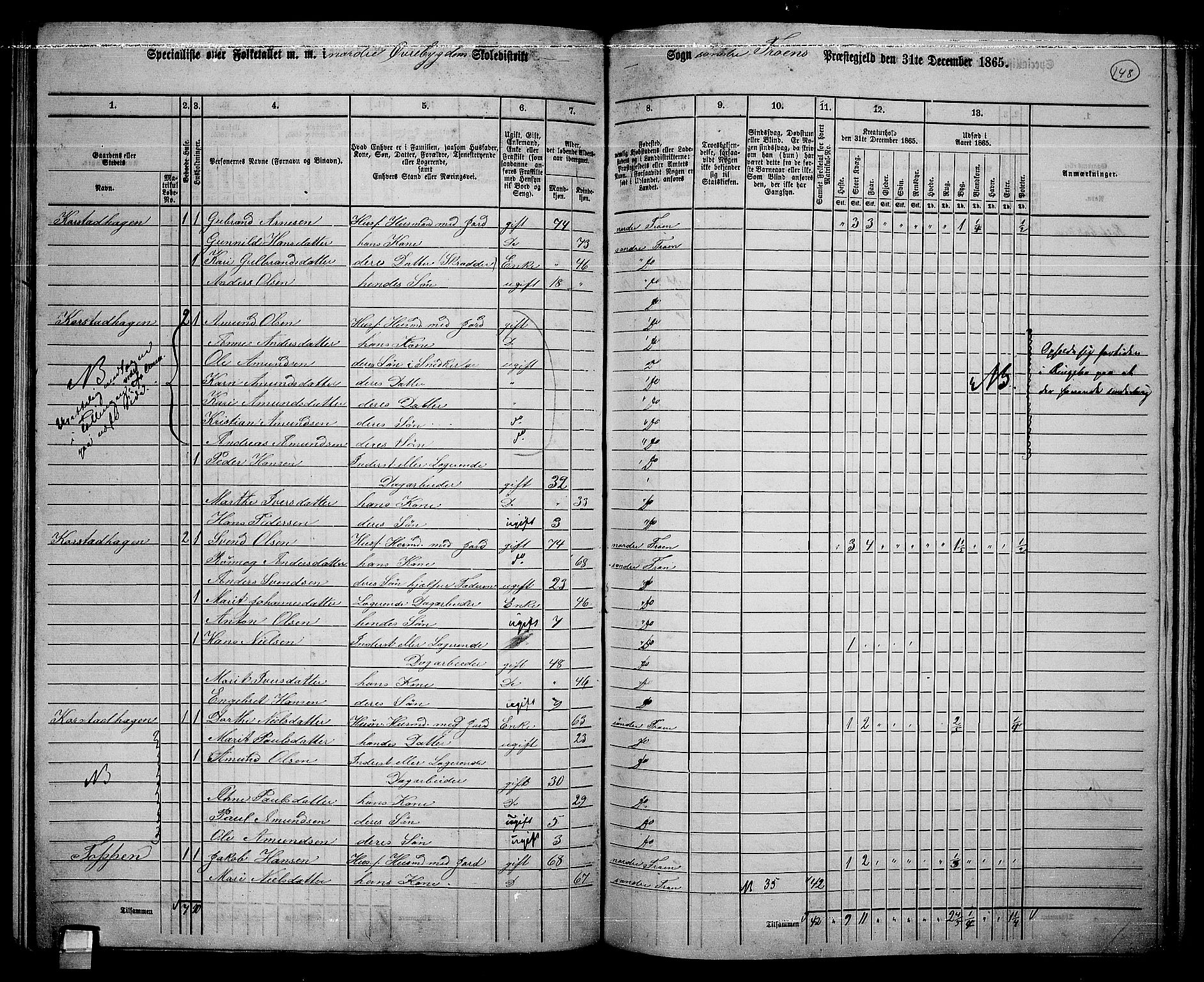 RA, 1865 census for Sør-Fron, 1865, p. 119