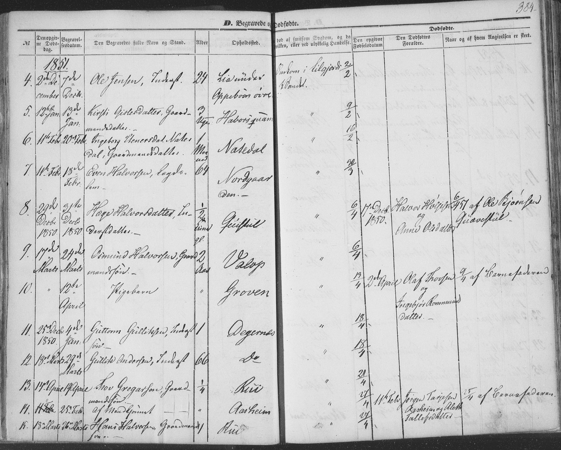 Seljord kirkebøker, AV/SAKO-A-20/F/Fa/L012b: Parish register (official) no. I 12B, 1850-1865, p. 384