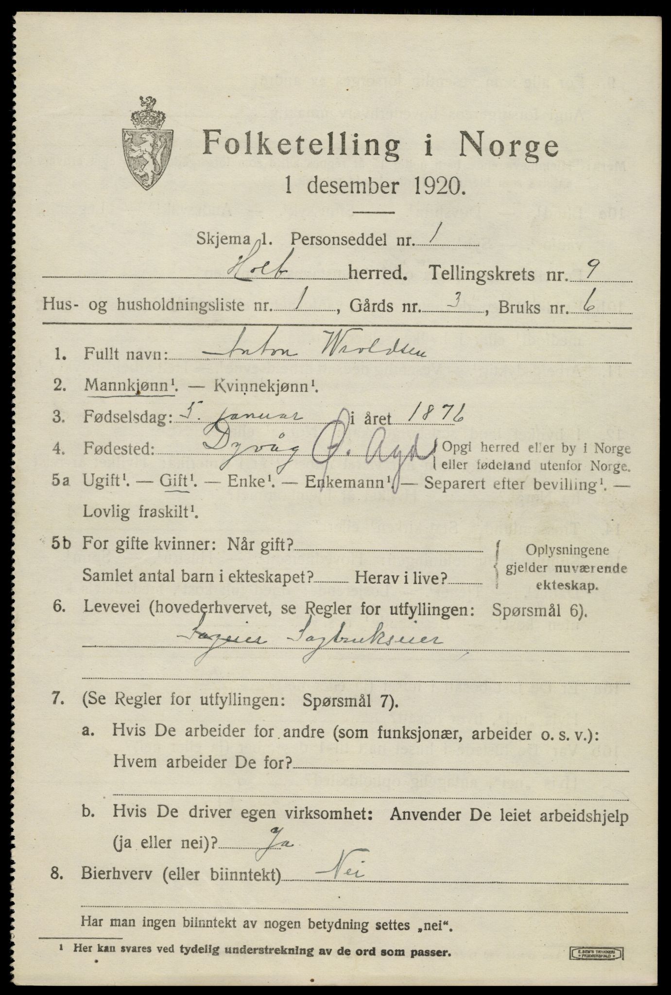 SAK, 1920 census for Holt, 1920, p. 5204