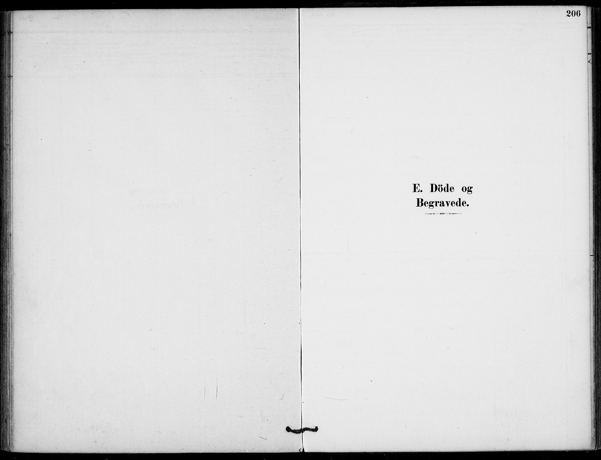 Hjartdal kirkebøker, SAKO/A-270/F/Fb/L0002: Parish register (official) no. II 2, 1880-1932, p. 206