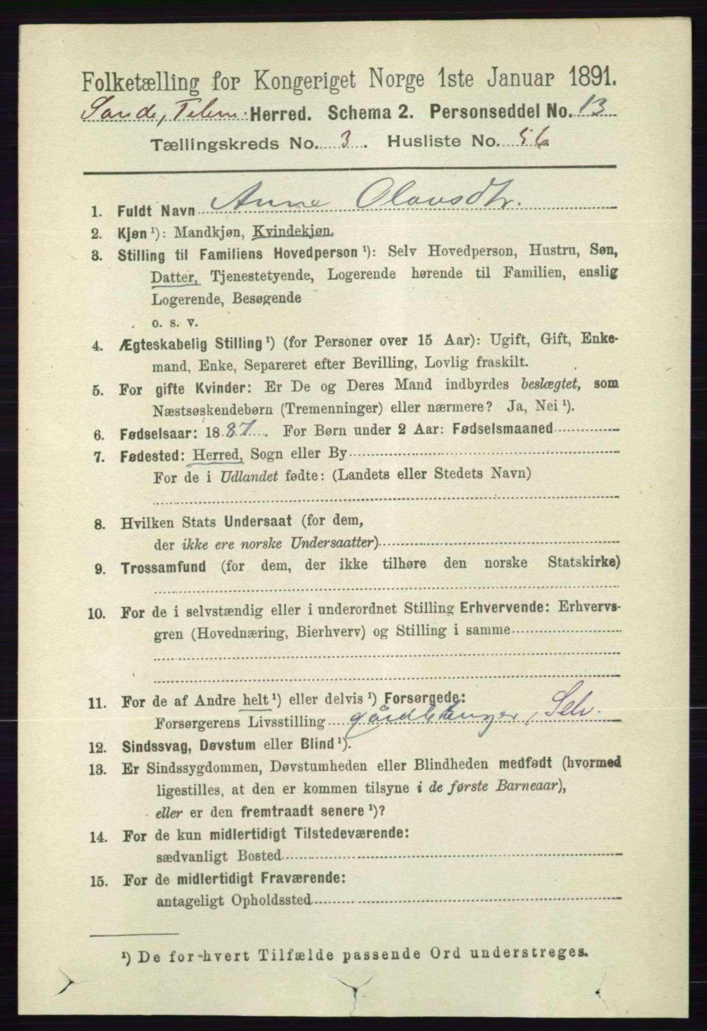 RA, 1891 census for 0822 Sauherad, 1891, p. 1035