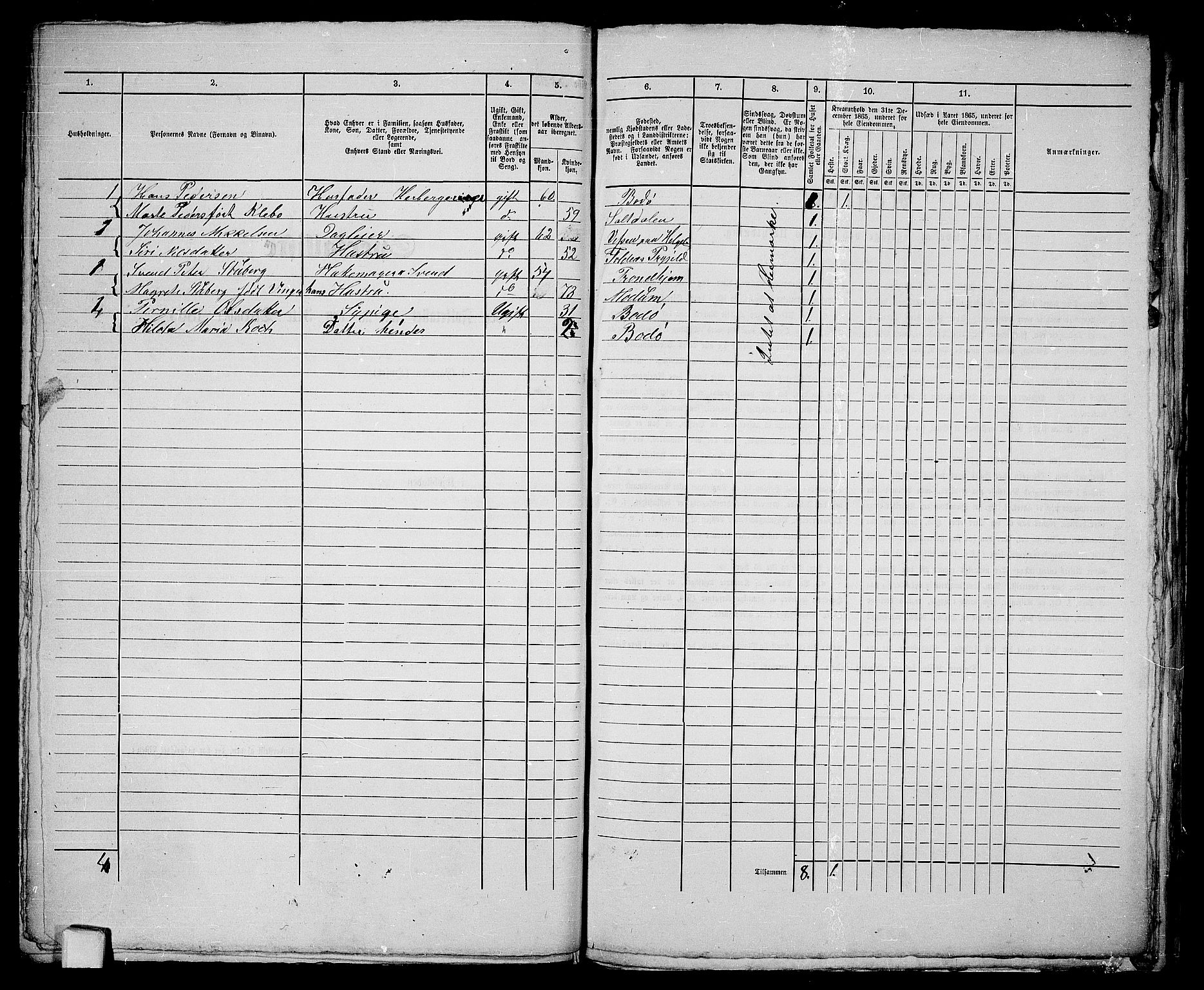 RA, 1865 census for Bodø/Bodø, 1865, p. 104