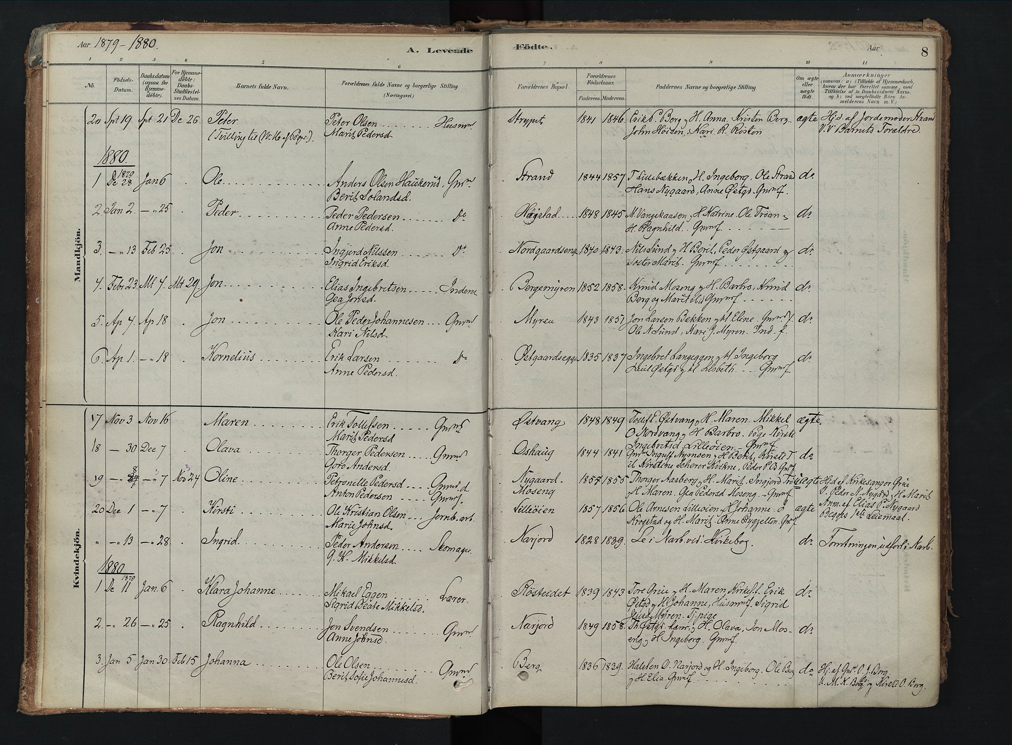 Tolga prestekontor, AV/SAH-PREST-062/K/L0008: Parish register (official) no. 8, 1877-1910, p. 8