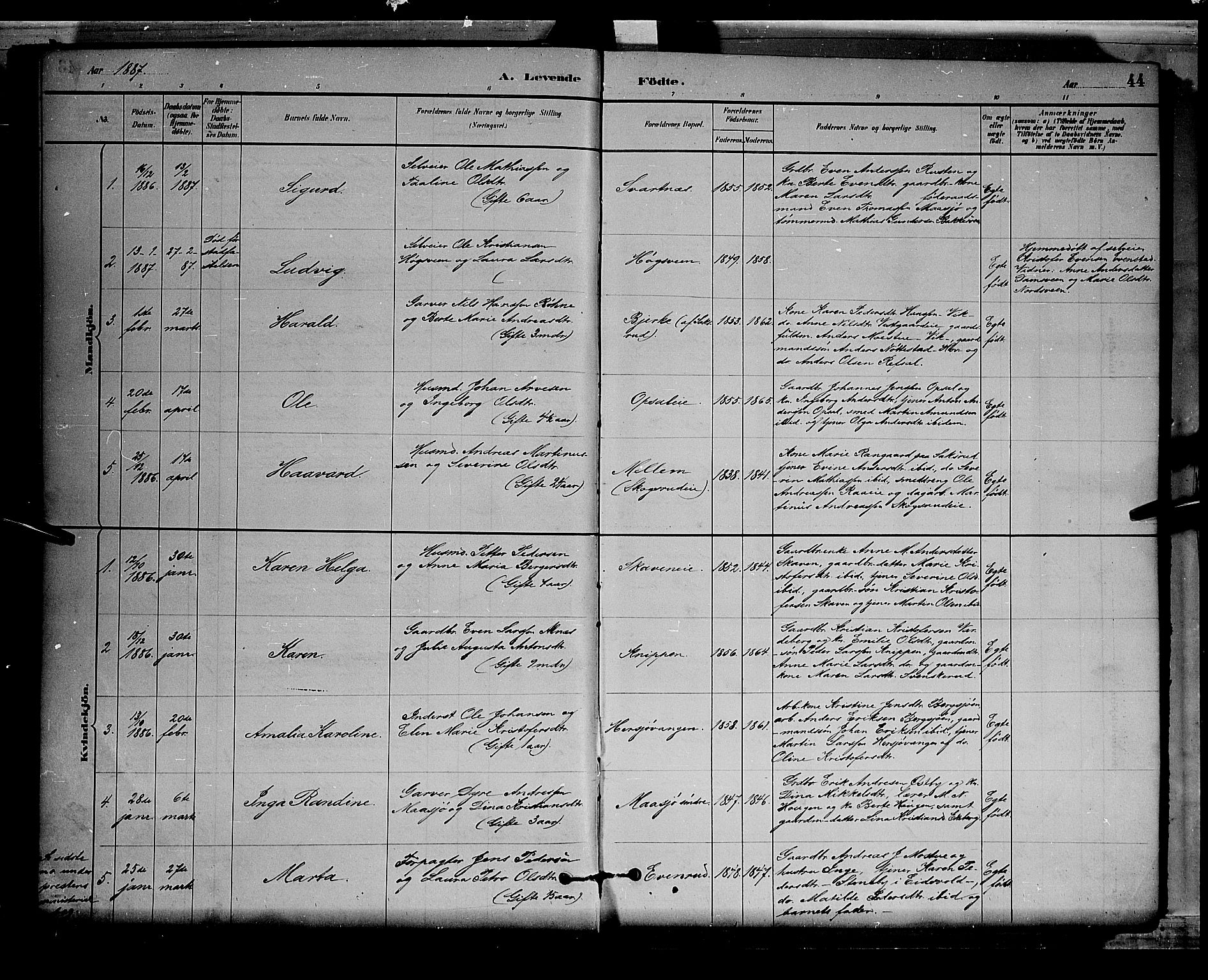 Stange prestekontor, SAH/PREST-002/L/L0008: Parish register (copy) no. 8, 1882-1895, p. 44