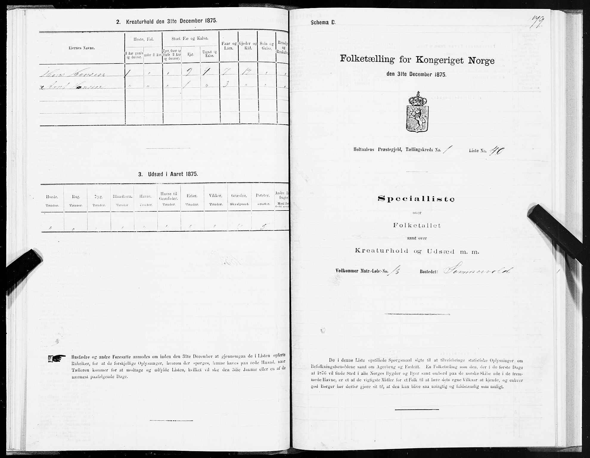 SAT, 1875 census for 1645P Haltdalen, 1875, p. 1079