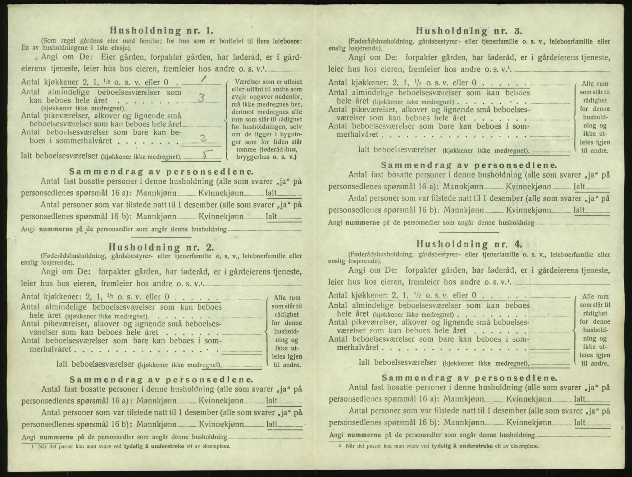 SAK, 1920 census for Hornnes, 1920, p. 558