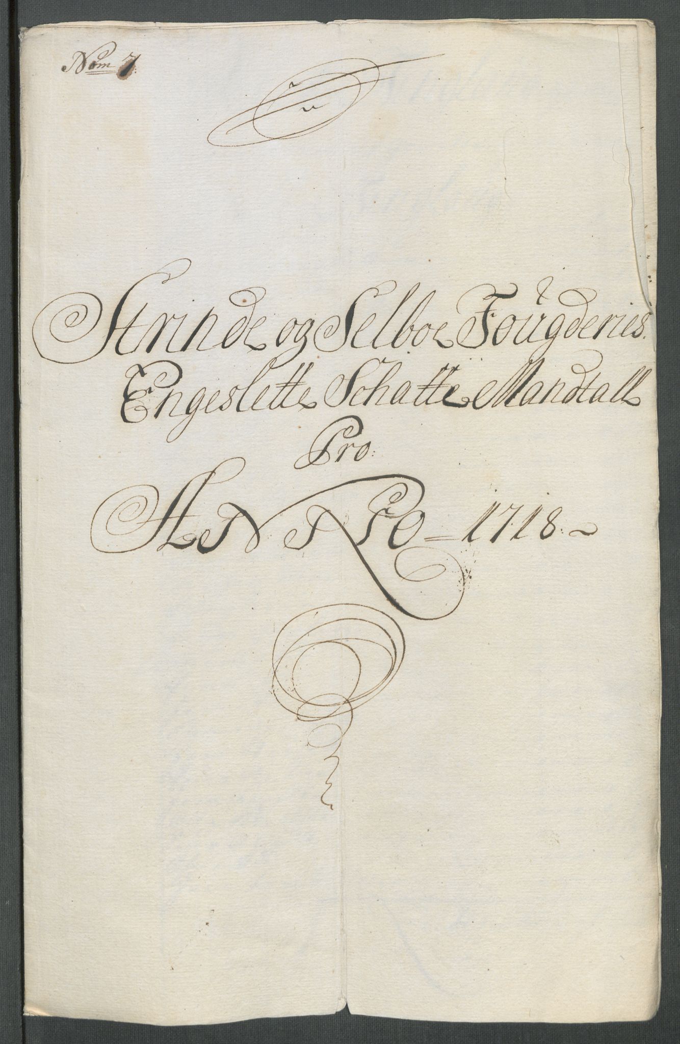 Rentekammeret inntil 1814, Reviderte regnskaper, Fogderegnskap, RA/EA-4092/R61/L4116: Fogderegnskap Strinda og Selbu, 1717-1718, p. 384