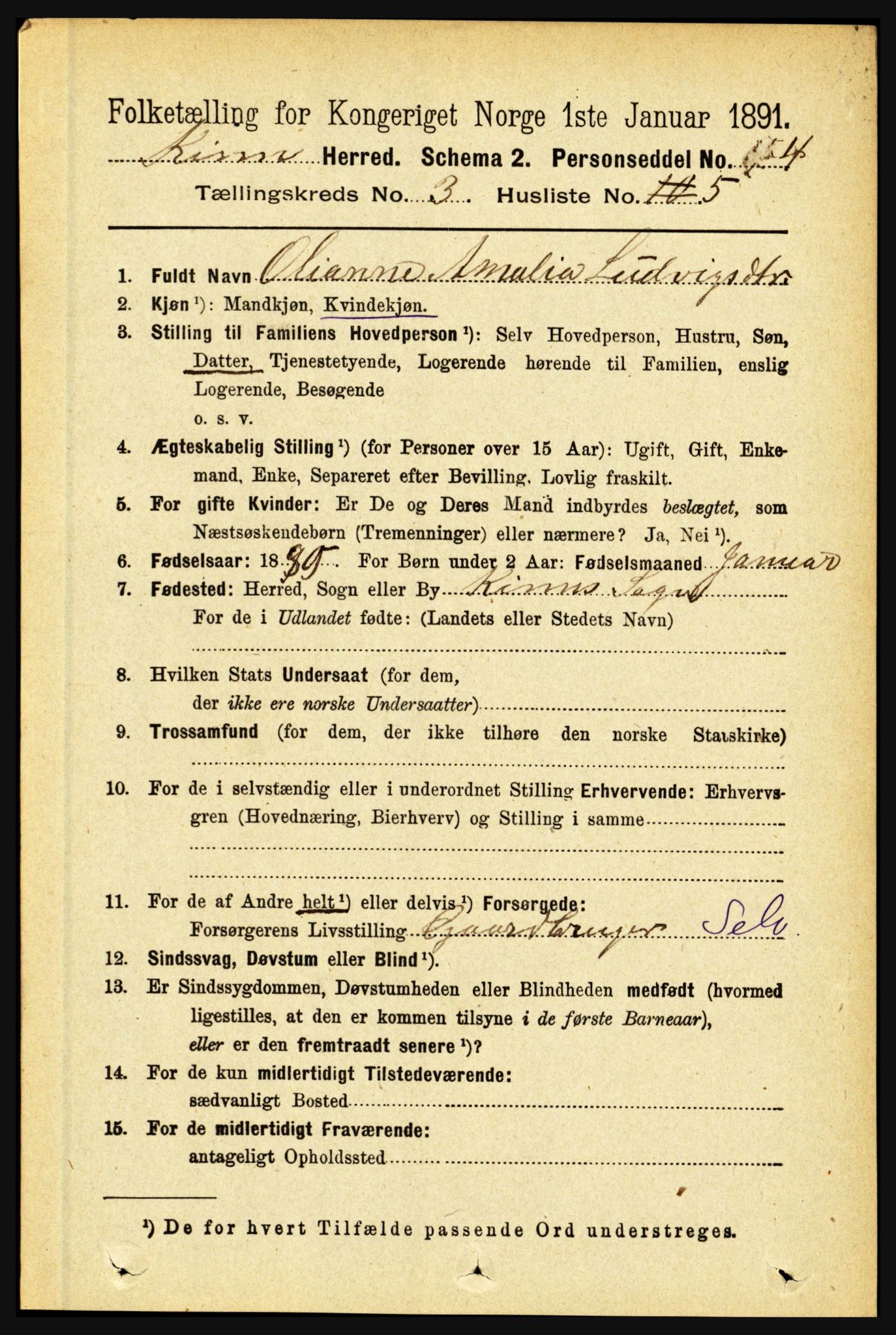 RA, 1891 census for 1437 Kinn, 1891, p. 973