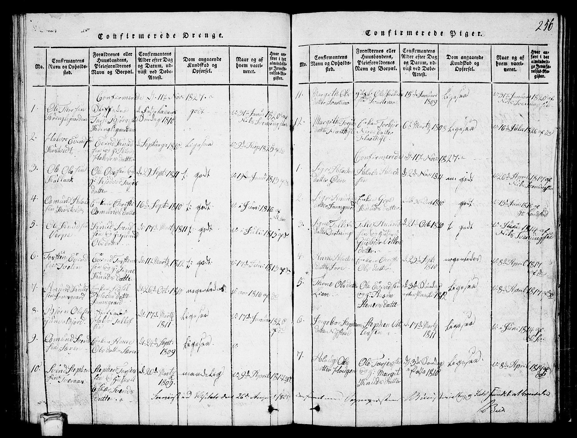 Vinje kirkebøker, SAKO/A-312/G/Ga/L0001: Parish register (copy) no. I 1, 1814-1843, p. 256