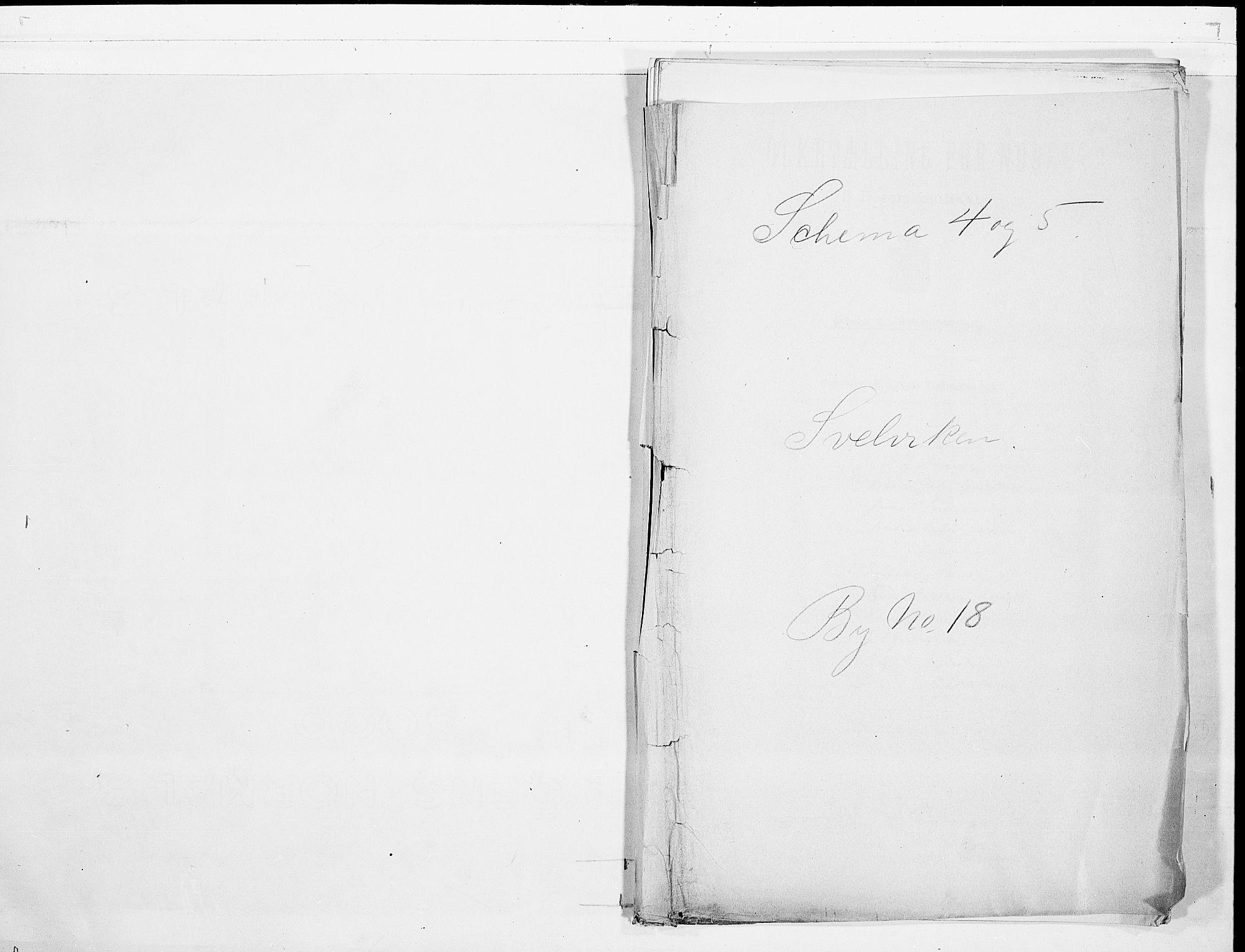 RA, 1900 census for Svelvik, 1900, p. 1