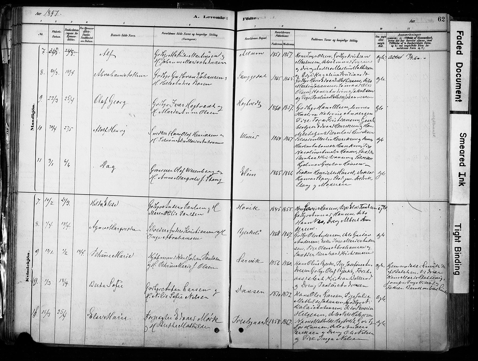 Hedrum kirkebøker, AV/SAKO-A-344/F/Fa/L0009: Parish register (official) no. I 9, 1881-1903, p. 62