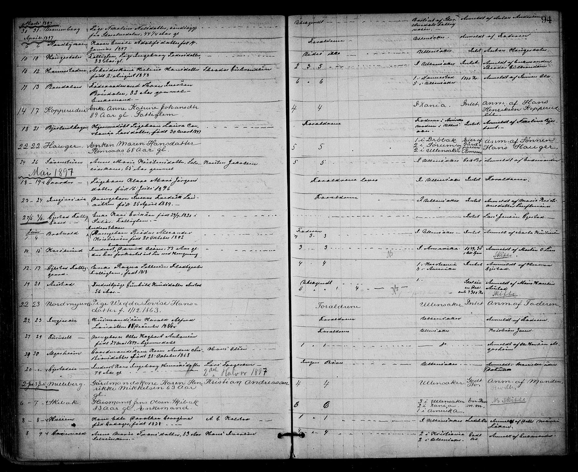 Nes tingrett, AV/SAO-A-10548/H/Ha/Haa/L0001: Dødsfallsprotokoll, 1876-1905, p. 94