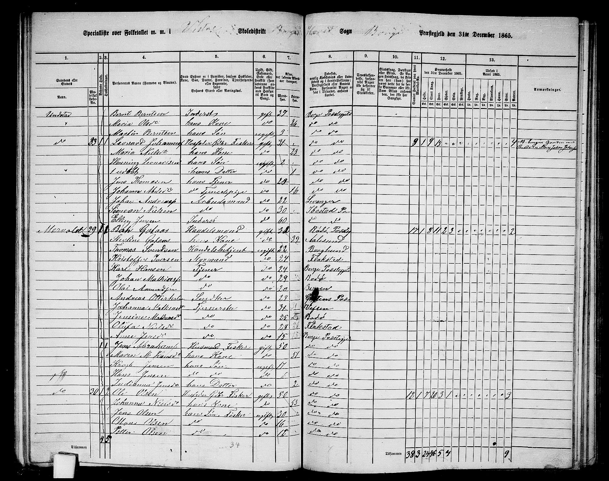 RA, 1865 census for Borge, 1865, p. 11