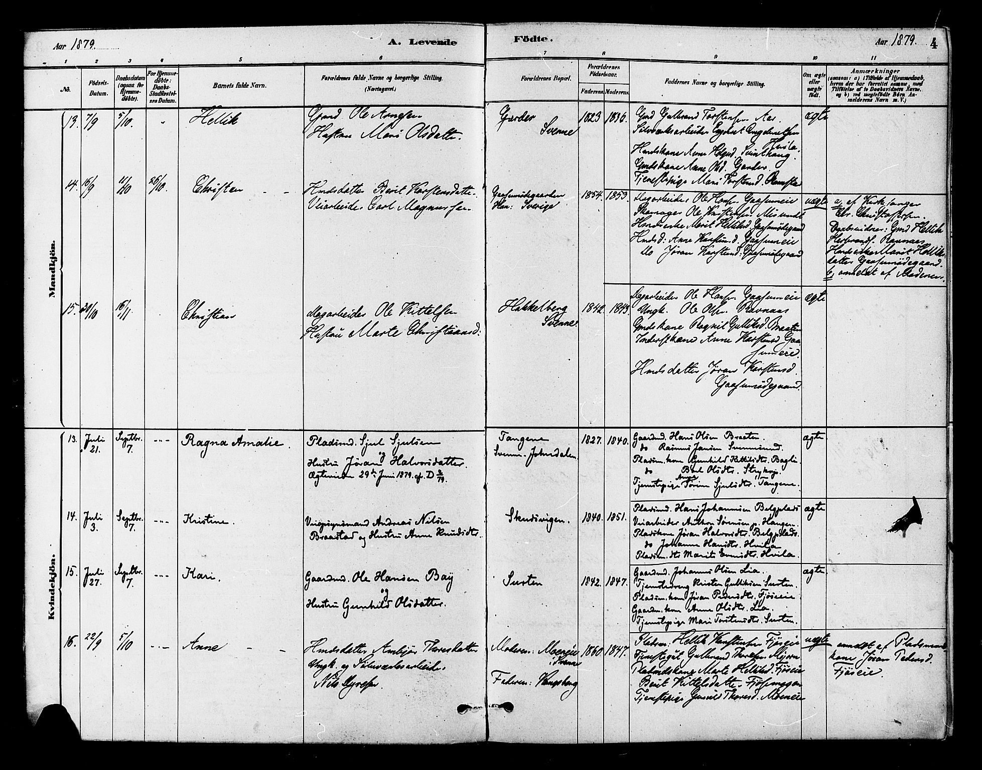 Flesberg kirkebøker, AV/SAKO-A-18/F/Fb/L0001: Parish register (official) no. II 1, 1879-1907, p. 4