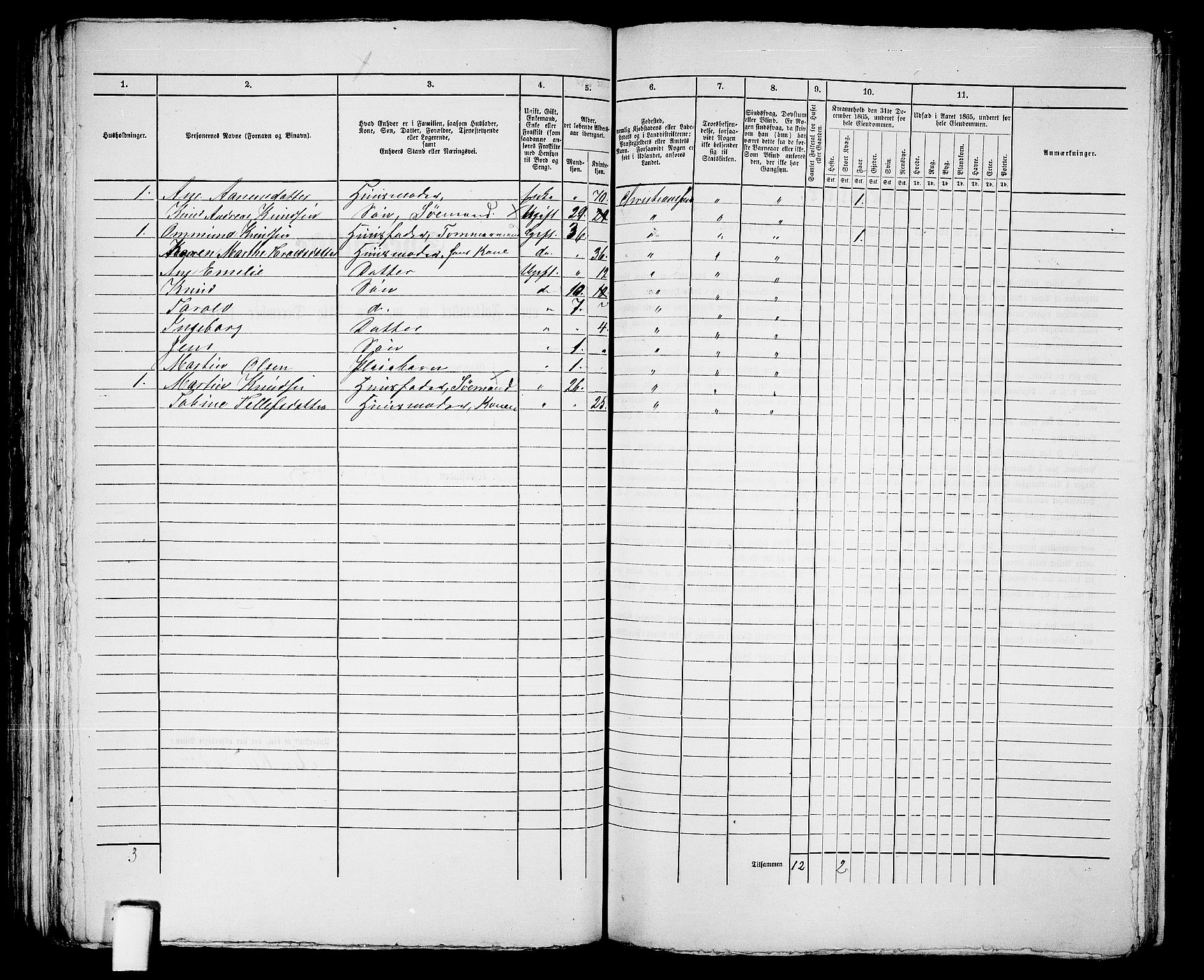 RA, 1865 census for Kristiansand, 1865, p. 1150