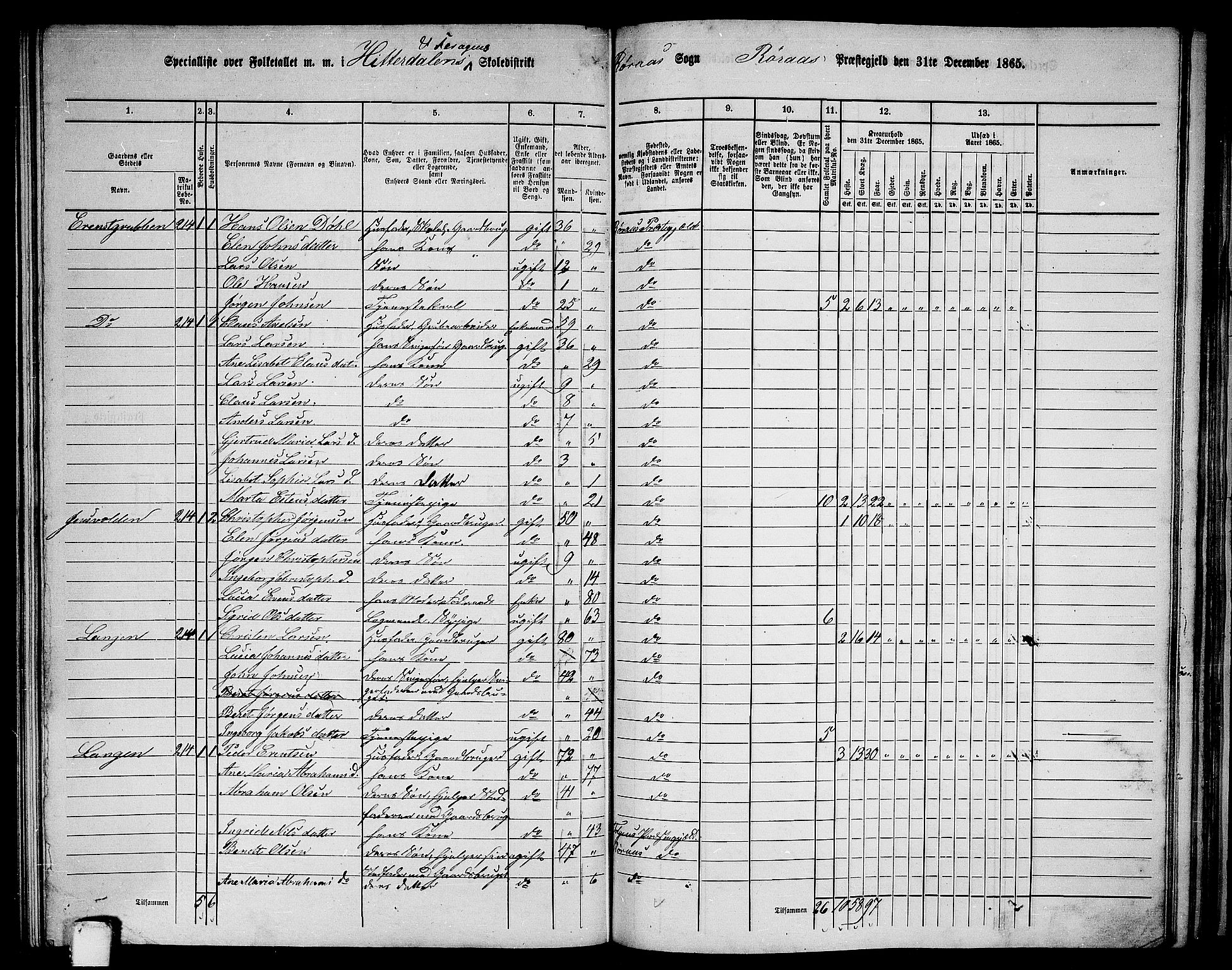 RA, 1865 census for Røros, 1865, p. 102