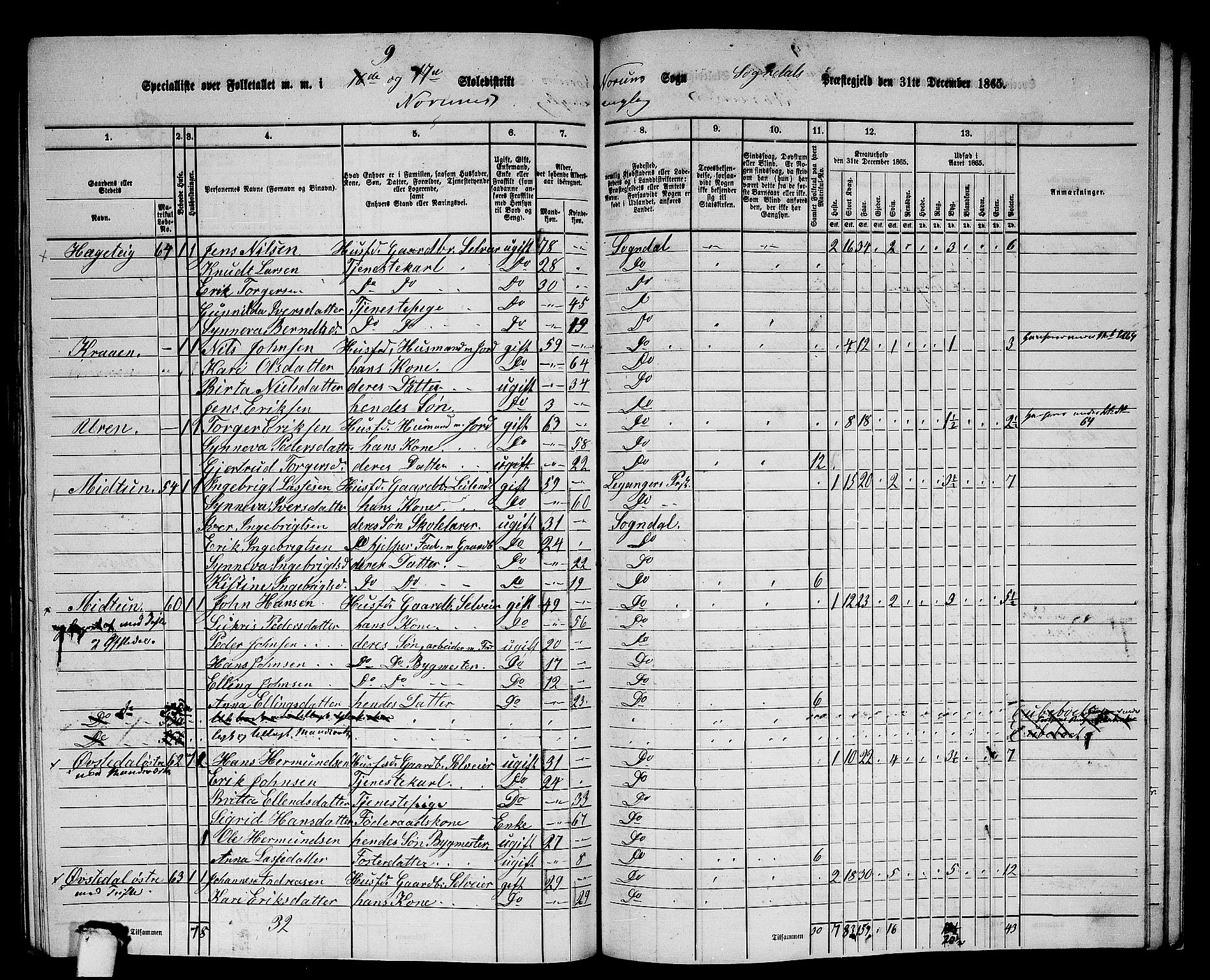 RA, 1865 census for Sogndal, 1865, p. 153