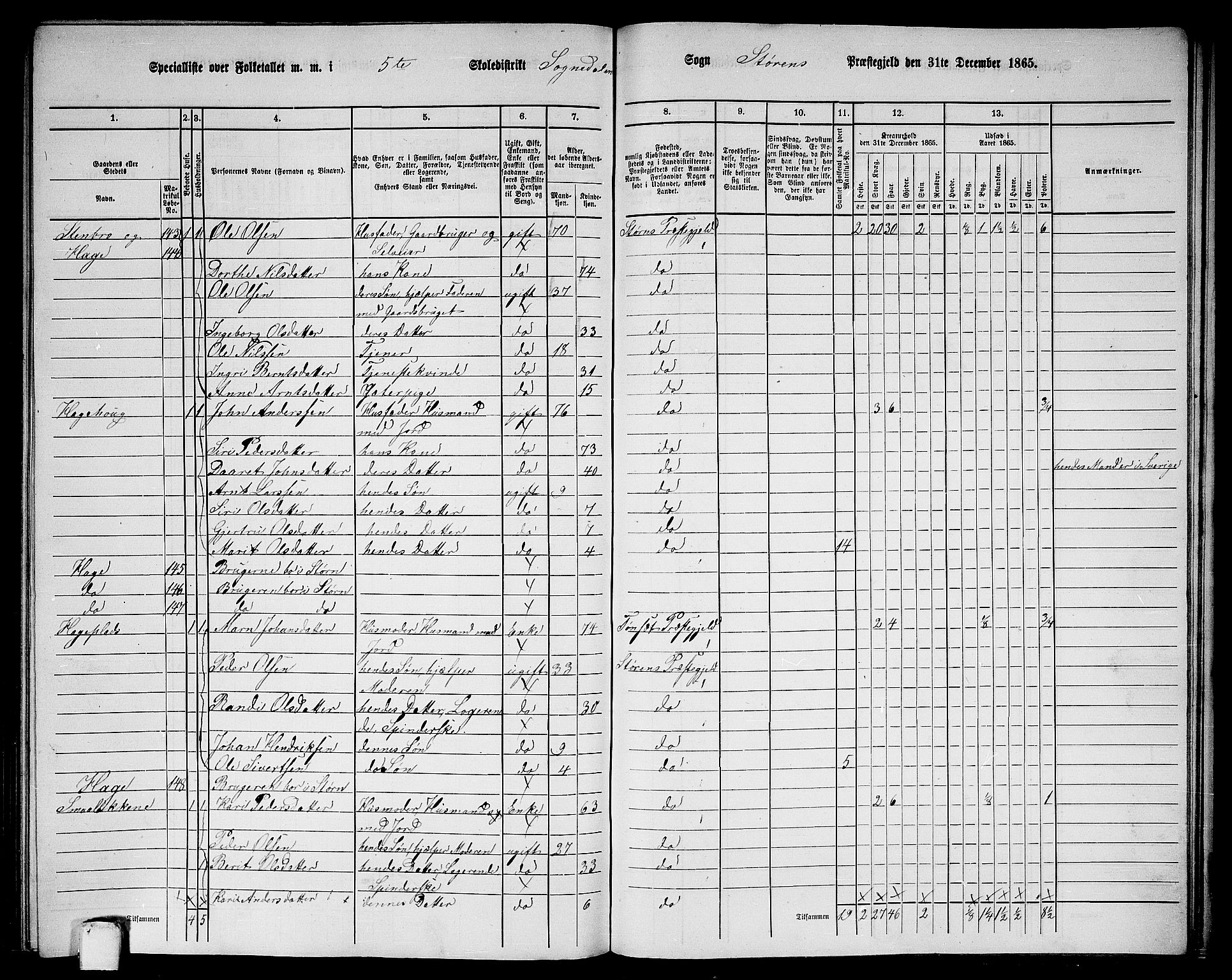 RA, 1865 census for Støren, 1865, p. 288