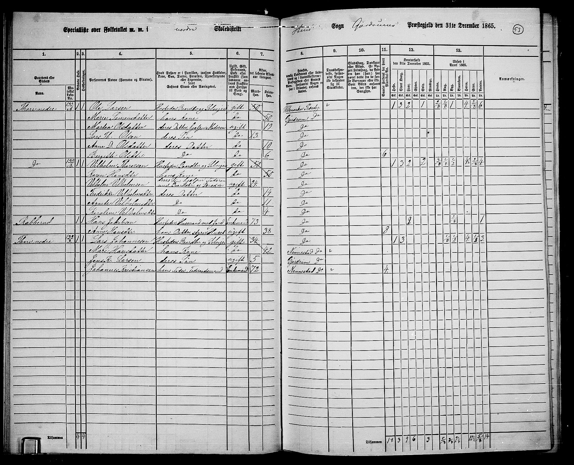 RA, 1865 census for Gjerdrum, 1865, p. 43