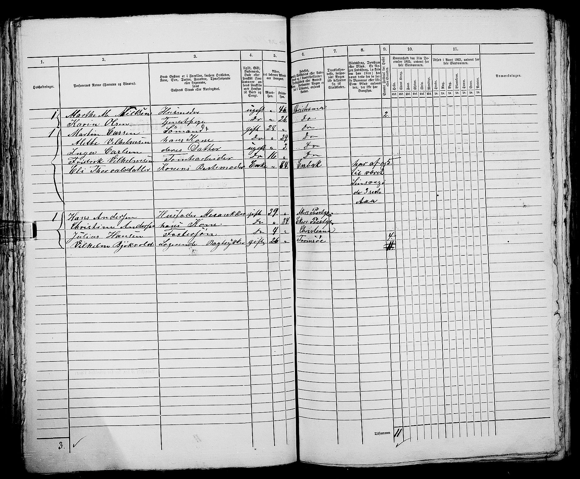 RA, 1865 census for Kristiania, 1865, p. 3247