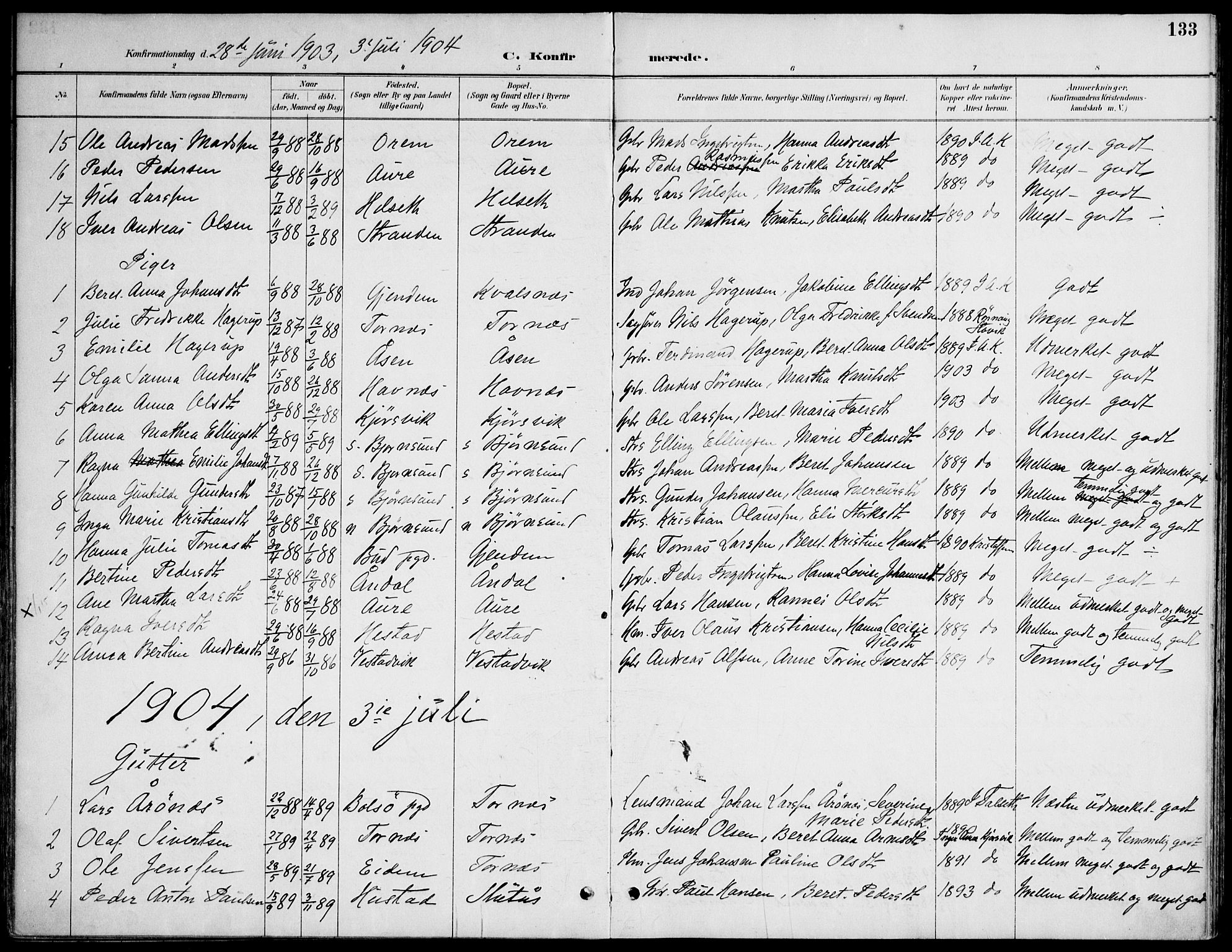 Ministerialprotokoller, klokkerbøker og fødselsregistre - Møre og Romsdal, AV/SAT-A-1454/565/L0750: Parish register (official) no. 565A04, 1887-1905, p. 133