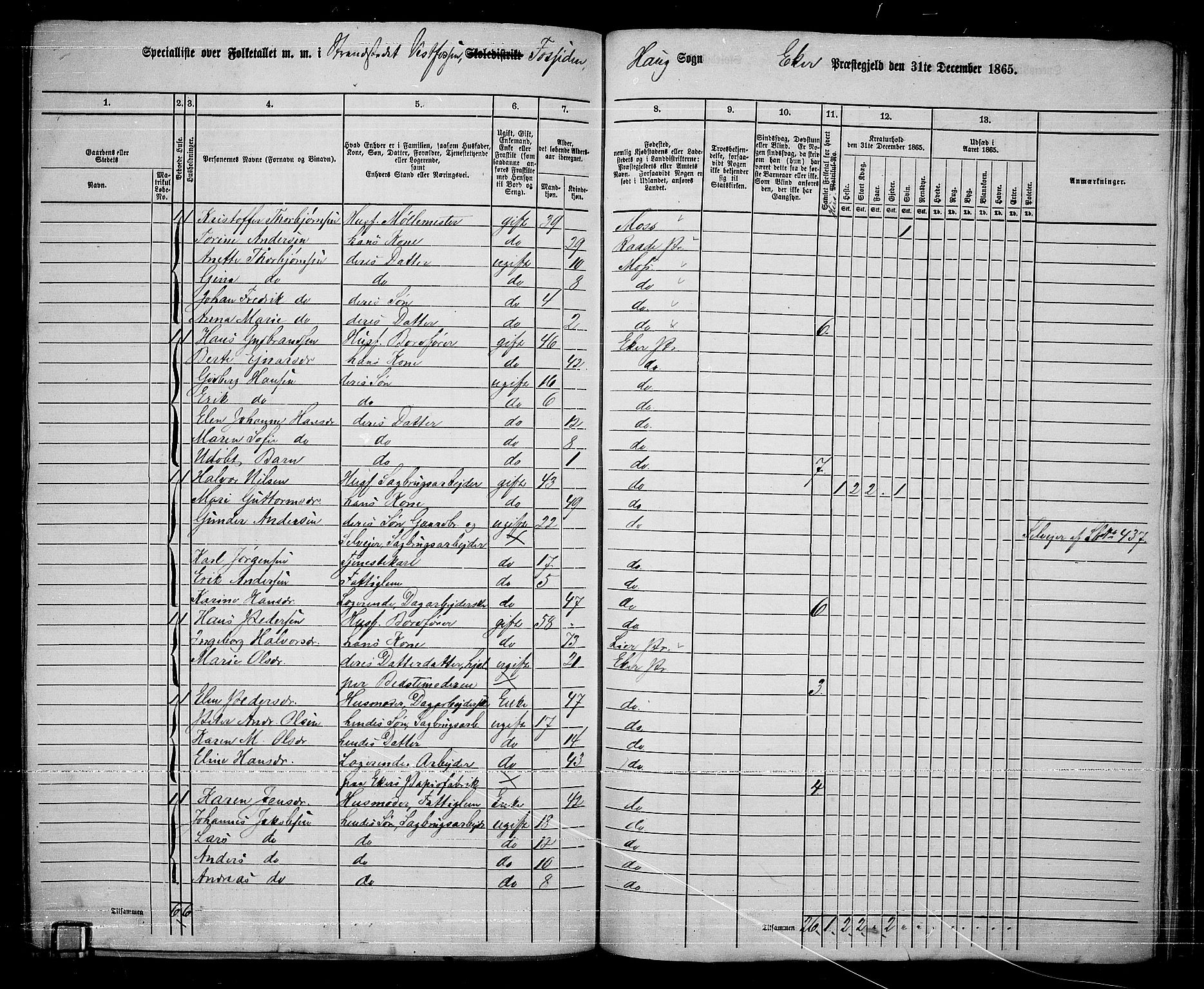 RA, 1865 census for Eiker, 1865, p. 233