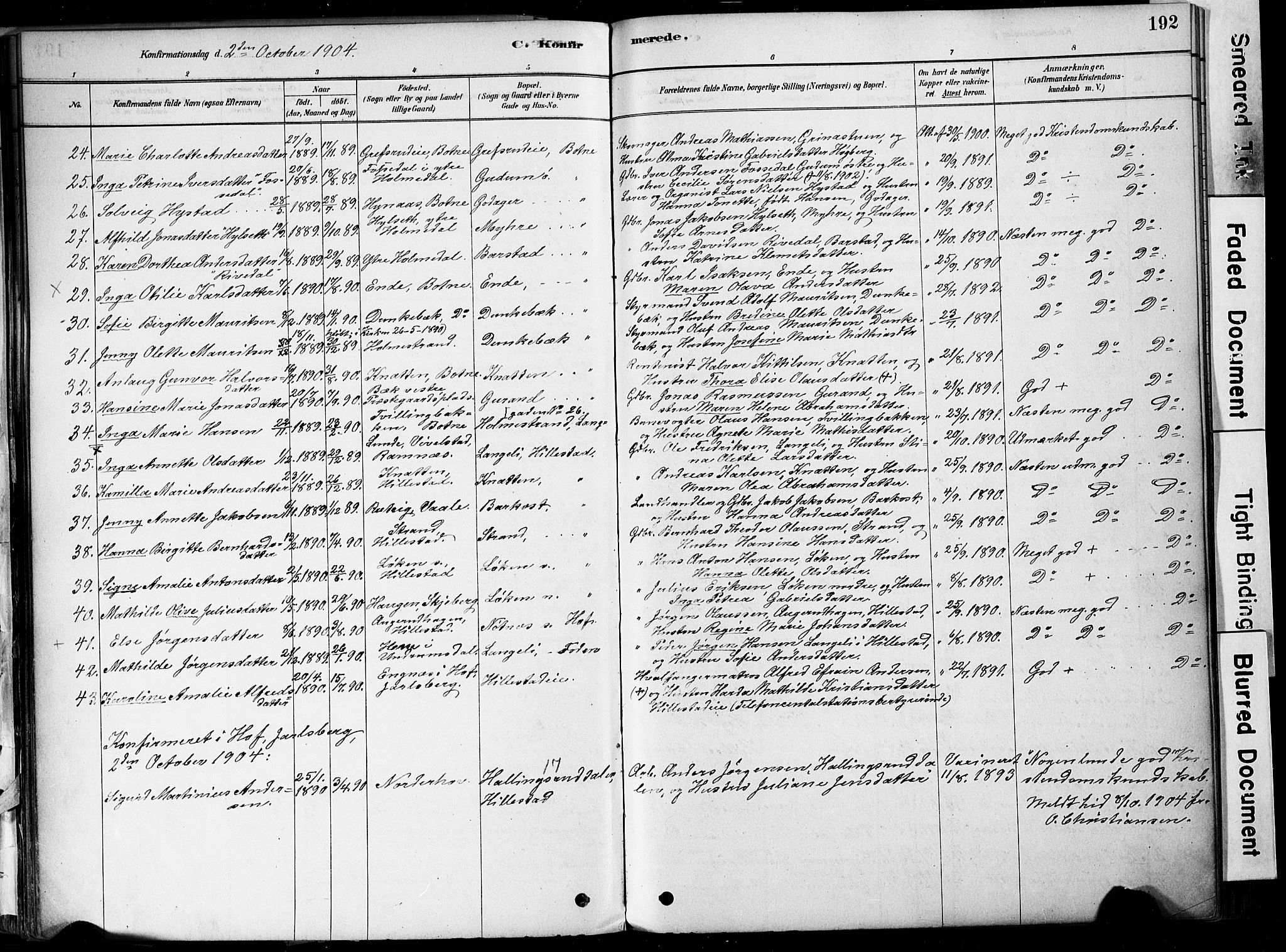 Botne kirkebøker, AV/SAKO-A-340/F/Fa/L0007: Parish register (official) no. I 7, 1878-1910, p. 192