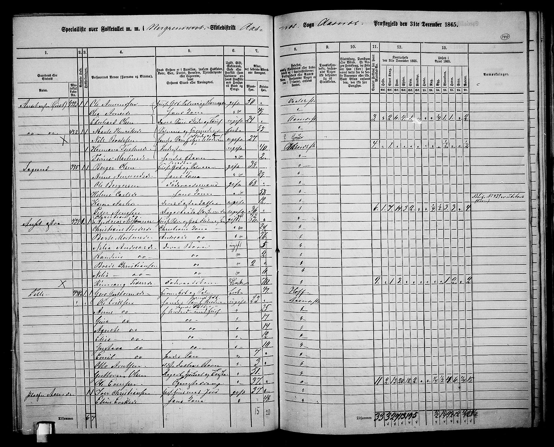 RA, 1865 census for Åsnes, 1865, p. 134